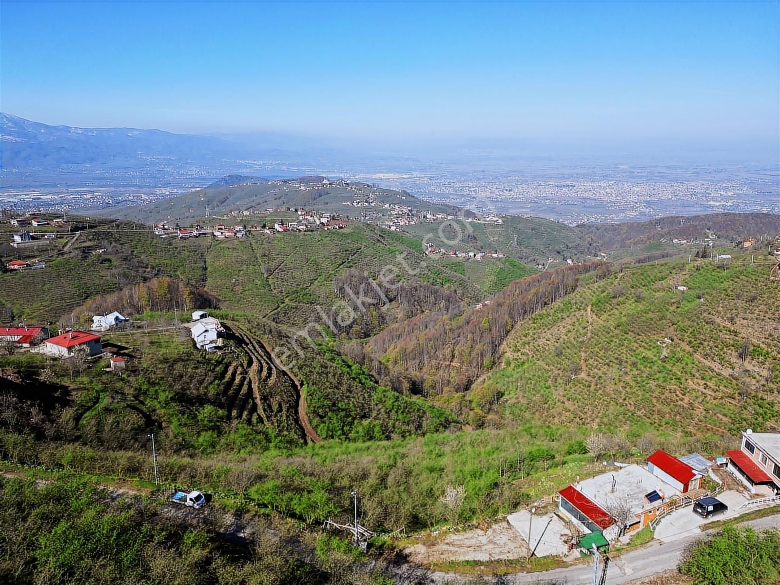Merkez Yeniköy ' De Satılık Bahçe 2.518 M2 - Görsel 3