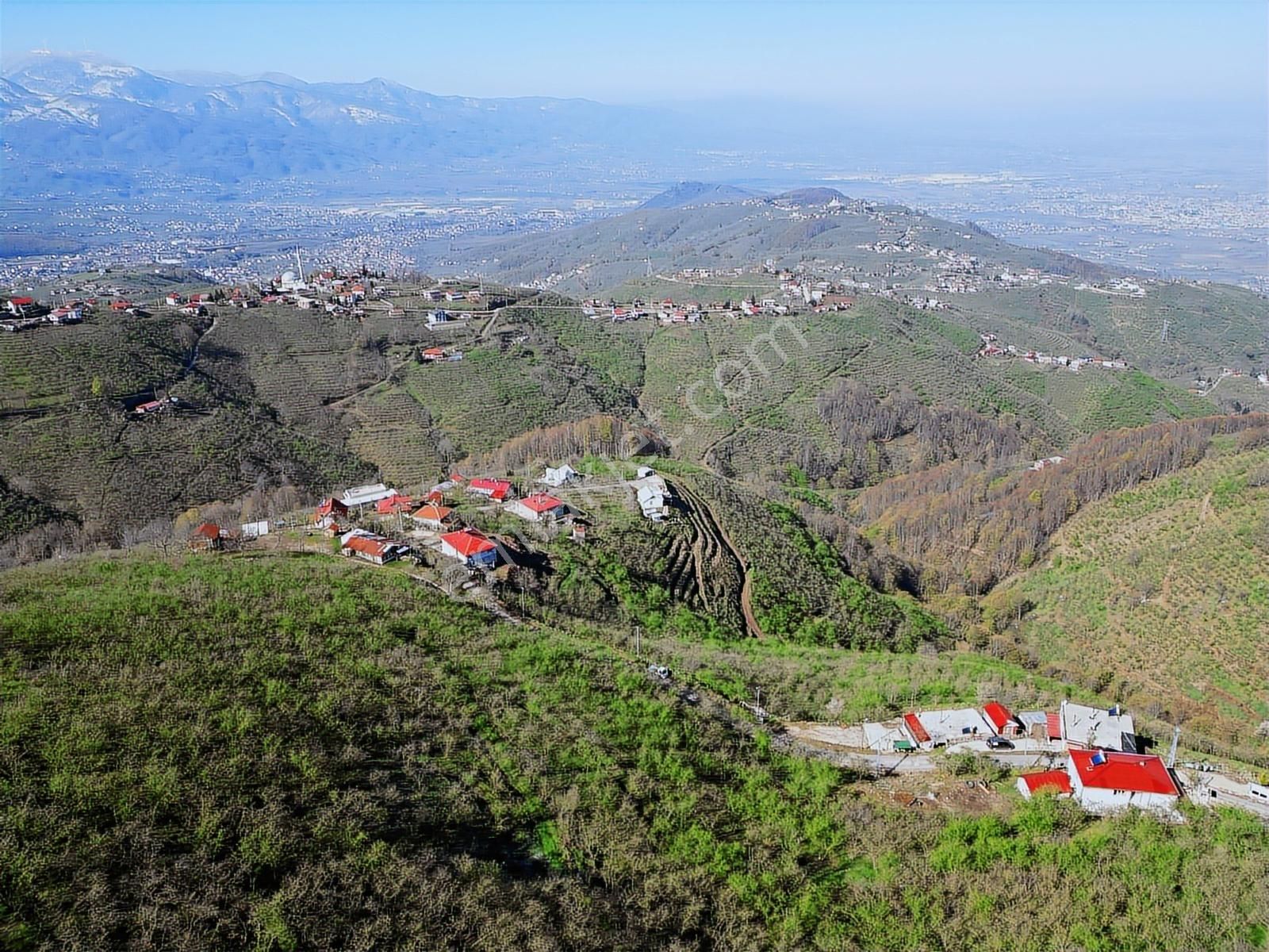 Merkez Yeniköy ' De Satılık Bahçe 2.518 M2 - Görsel 22