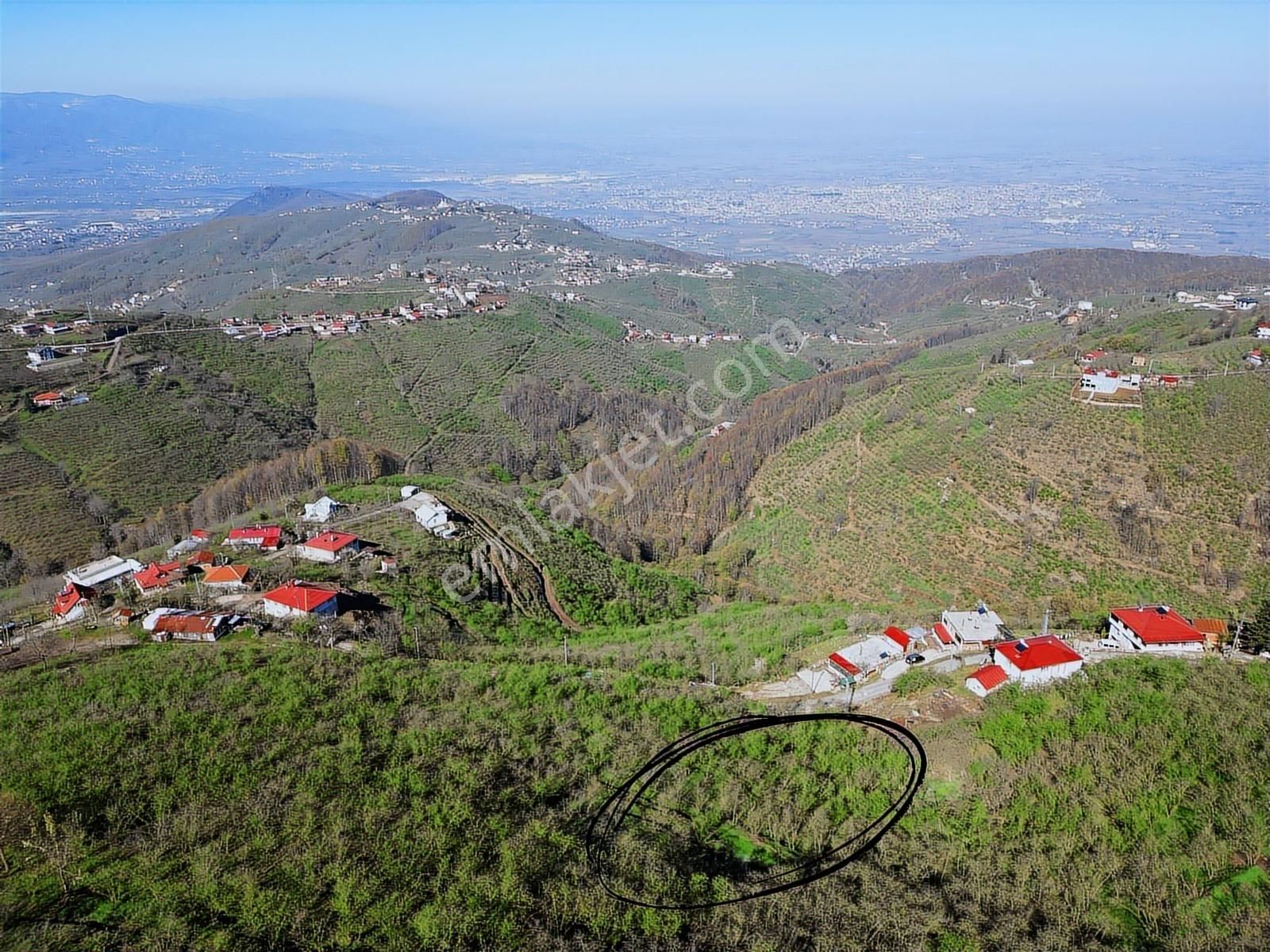 Merkez Yeniköy ' De Satılık Bahçe 2.518 M2 - Görsel 13
