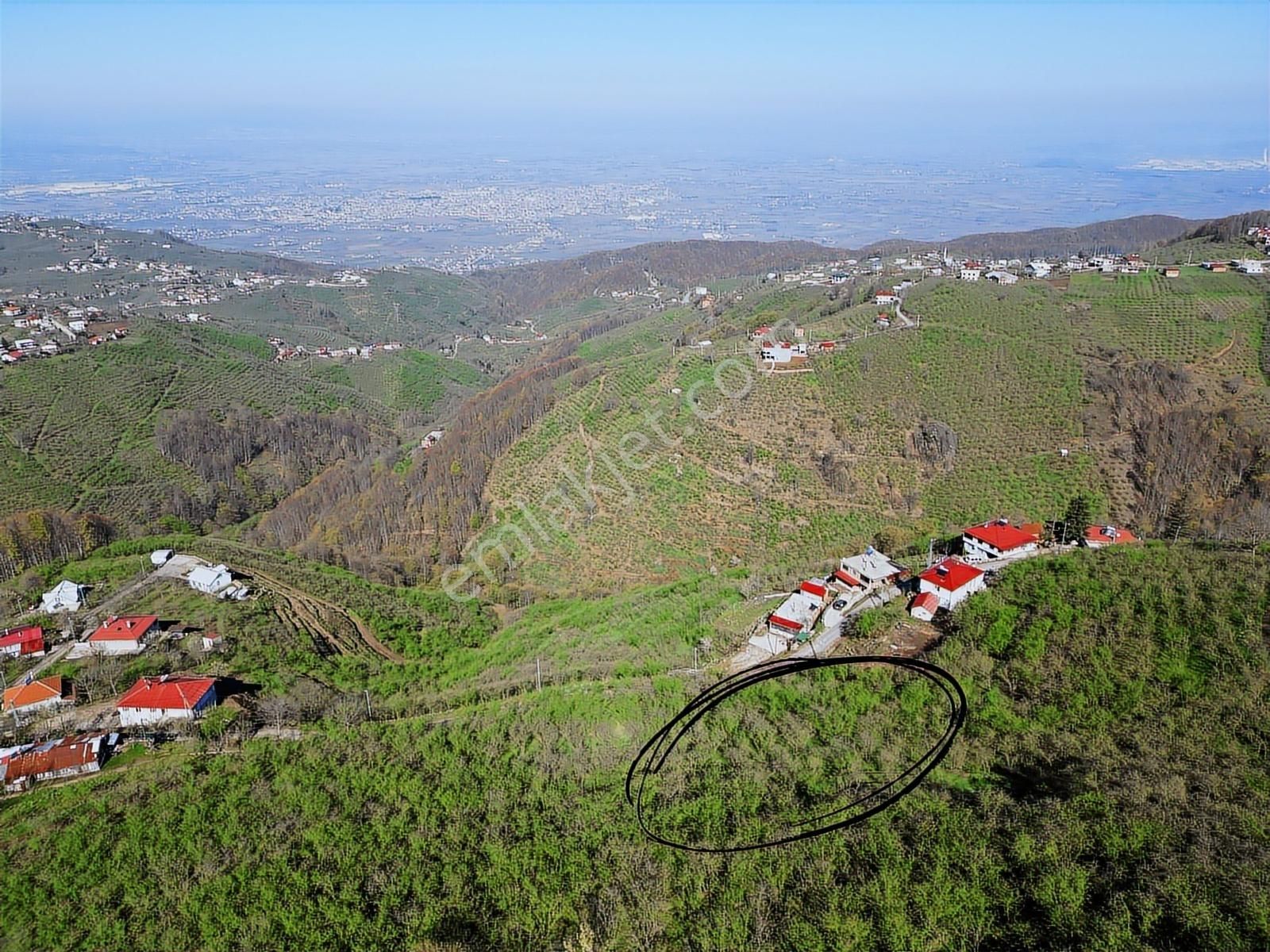 Merkez Yeniköy ' De Satılık Bahçe 2.518 M2 - Görsel 11