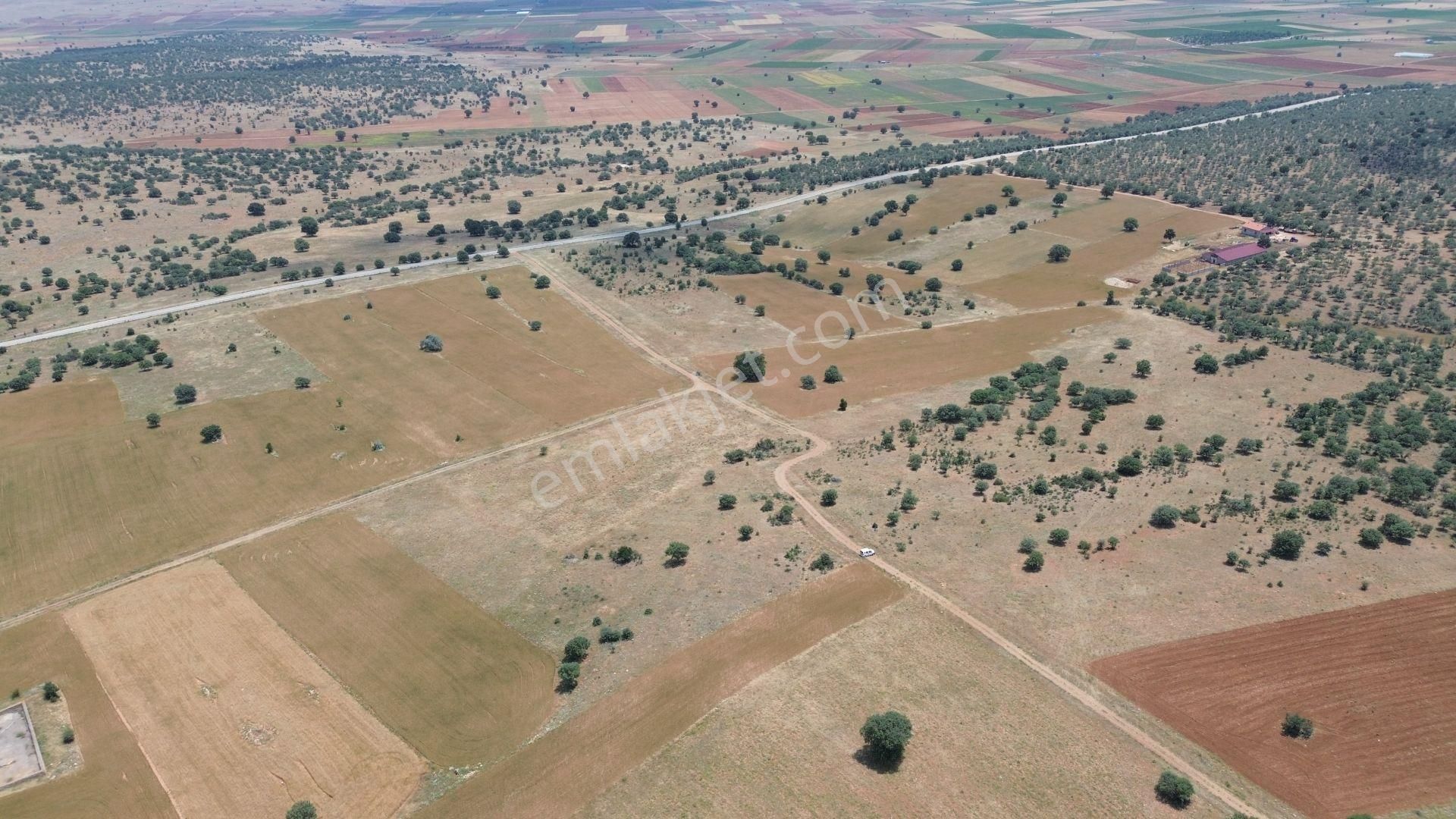 Konya / Akören / Ağalar Mahallesinde 1.876 M² Müstakil Tapulu Tarla - Görsel 6