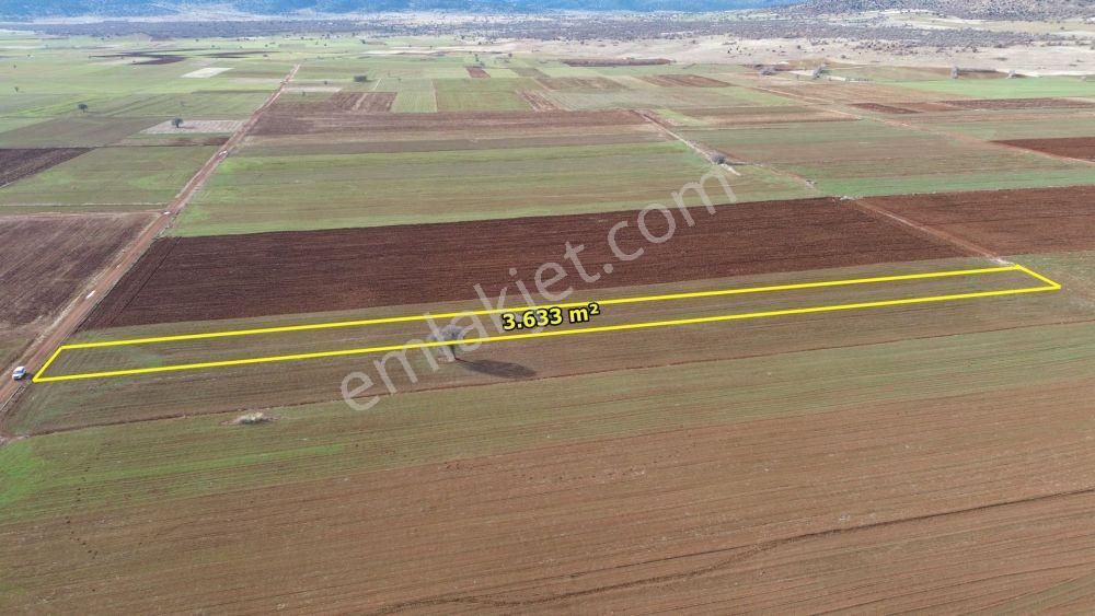 Akören Hacılar Da 3.633 M2 Müstakil Tapulu Arazi - Görsel 2