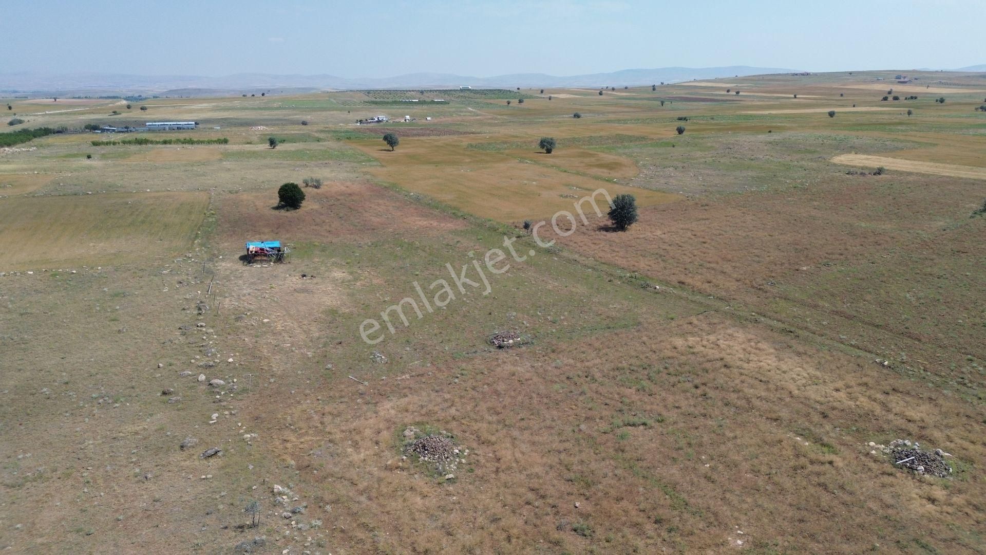 Konya / Akören / Tülce Mahallesinde 3.034 M² Müstakil Tapulu Tarla - Görsel 3