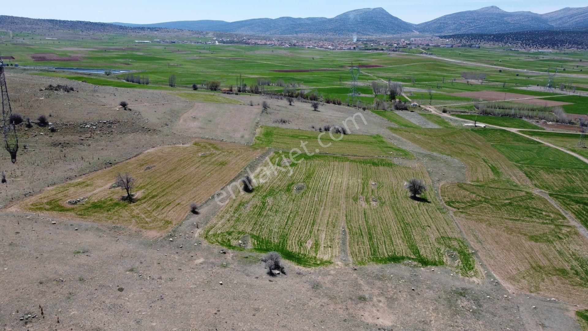 Konya / Akören / Orhaniye Mahallesinde 2.824 M² Müstakil Tapulu Tarla - Görsel 8