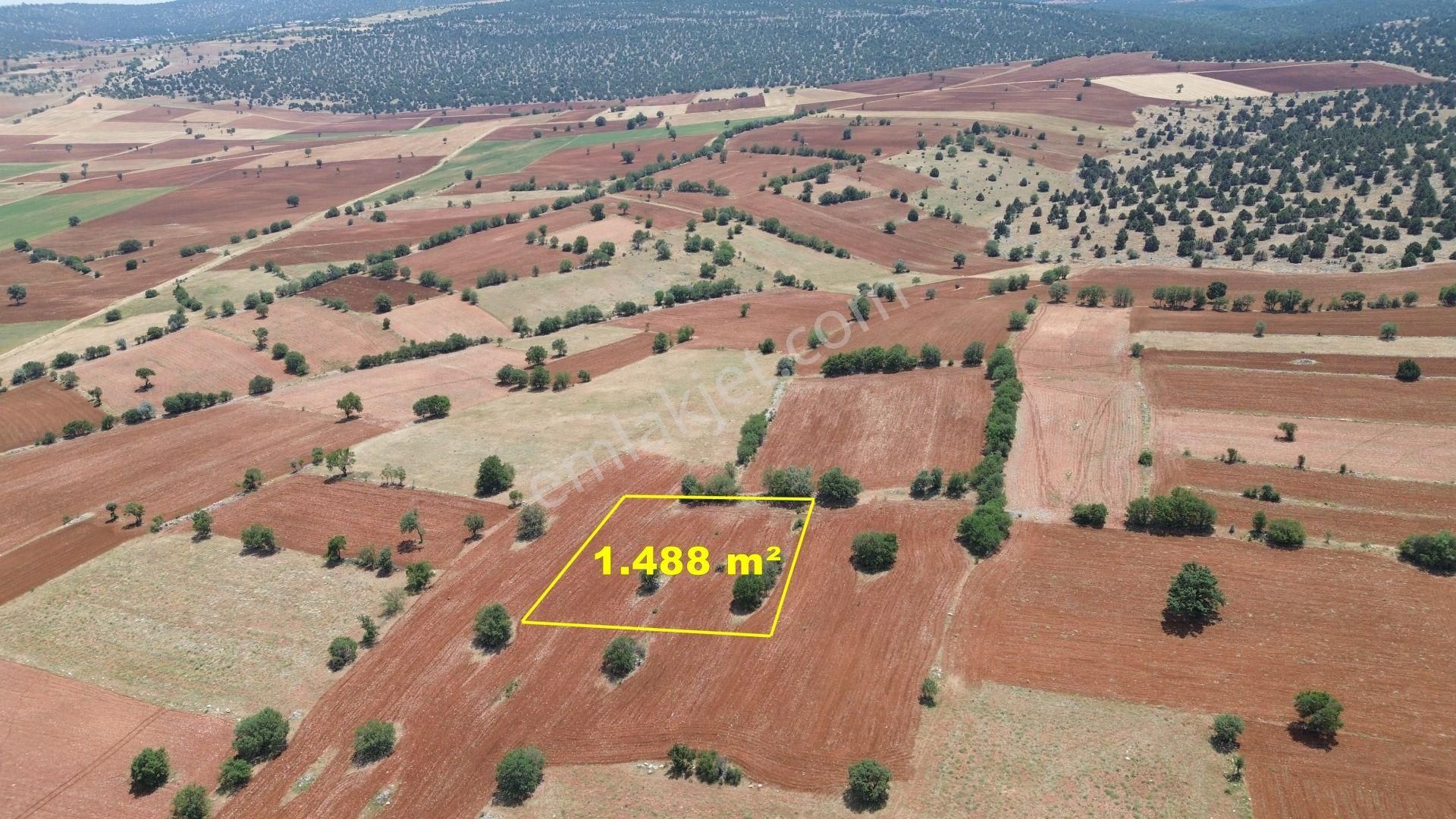 Konya / Akören / Karahüyük Mahallesinde 1.488 M² Müstakil Tapulu Tarla - Görsel 4