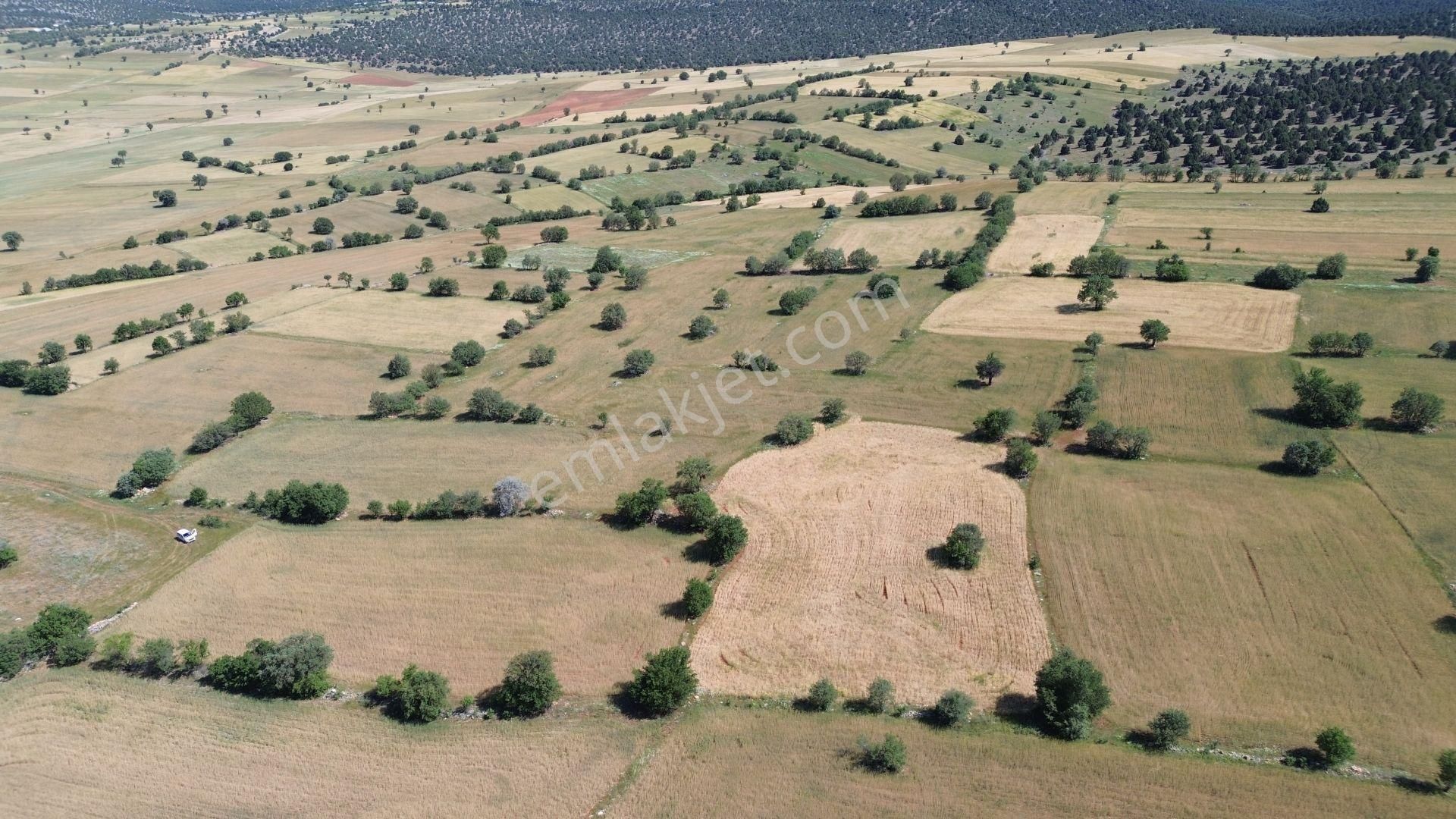 Konya / Akören / Karahüyük Mahallesinde 1.488 M² Müstakil Tapulu Tarla - Görsel 5