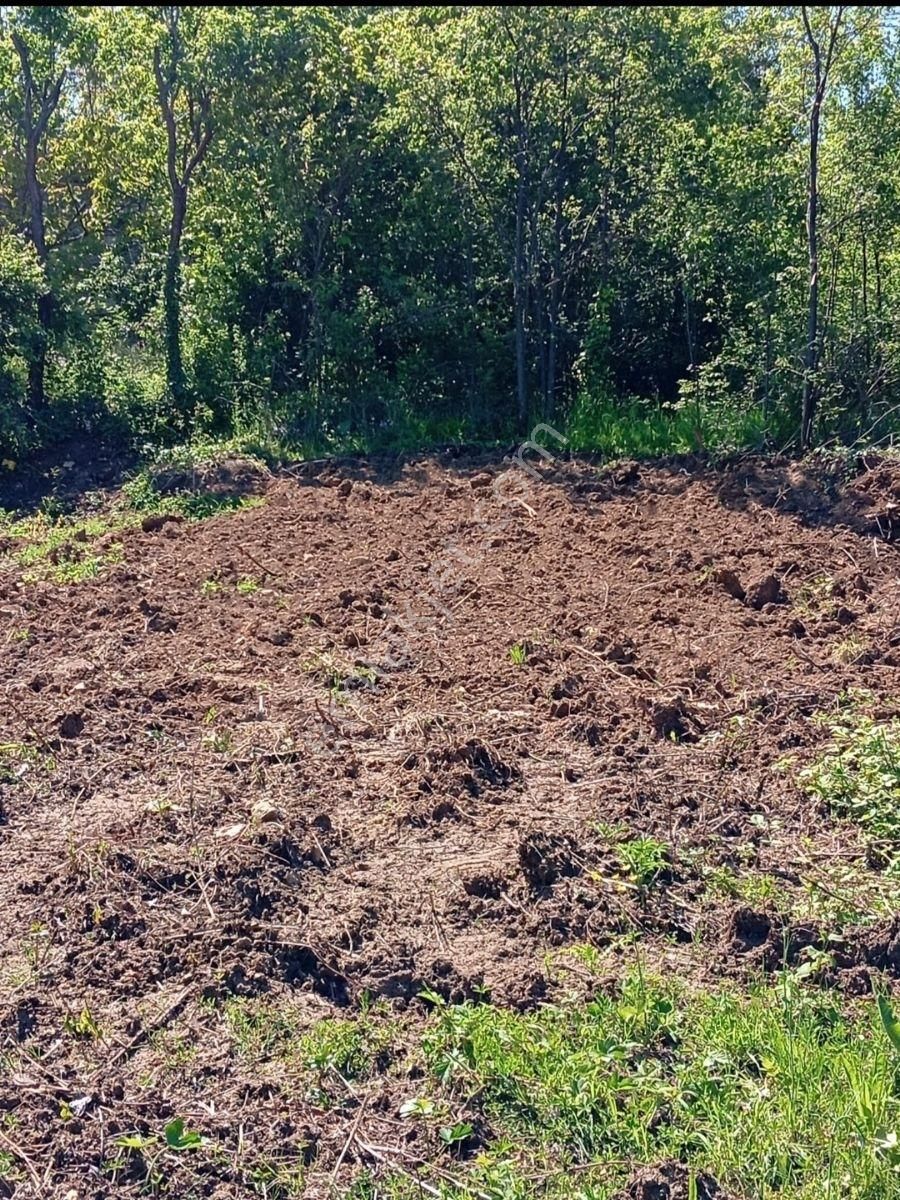 Kestel Orhanıye De İmarlı Arsa - Görsel 2