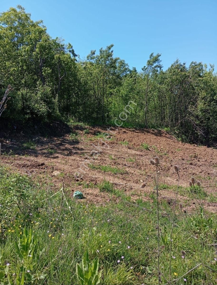 Kestel Orhanıye De İmarlı Arsa - Görsel 4