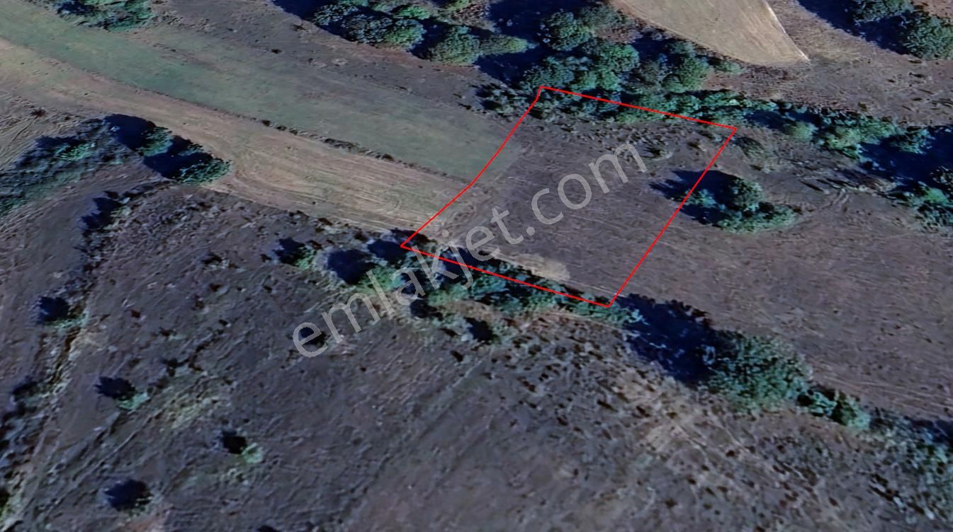 Karamürsel Kızderbent %5 İmarlı 3146 M2 Satılık Tarla