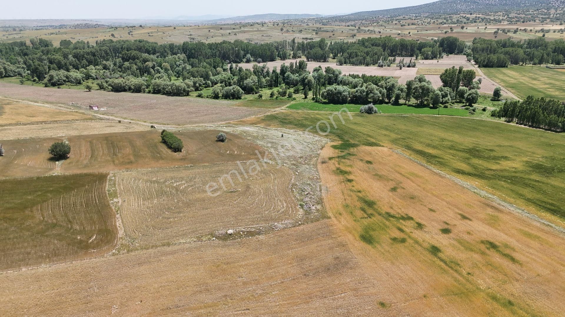 Konya / Akören / Çatören Mahallesinde 1.761 M² Müstakil Tapulu Tarla - Görsel 2
