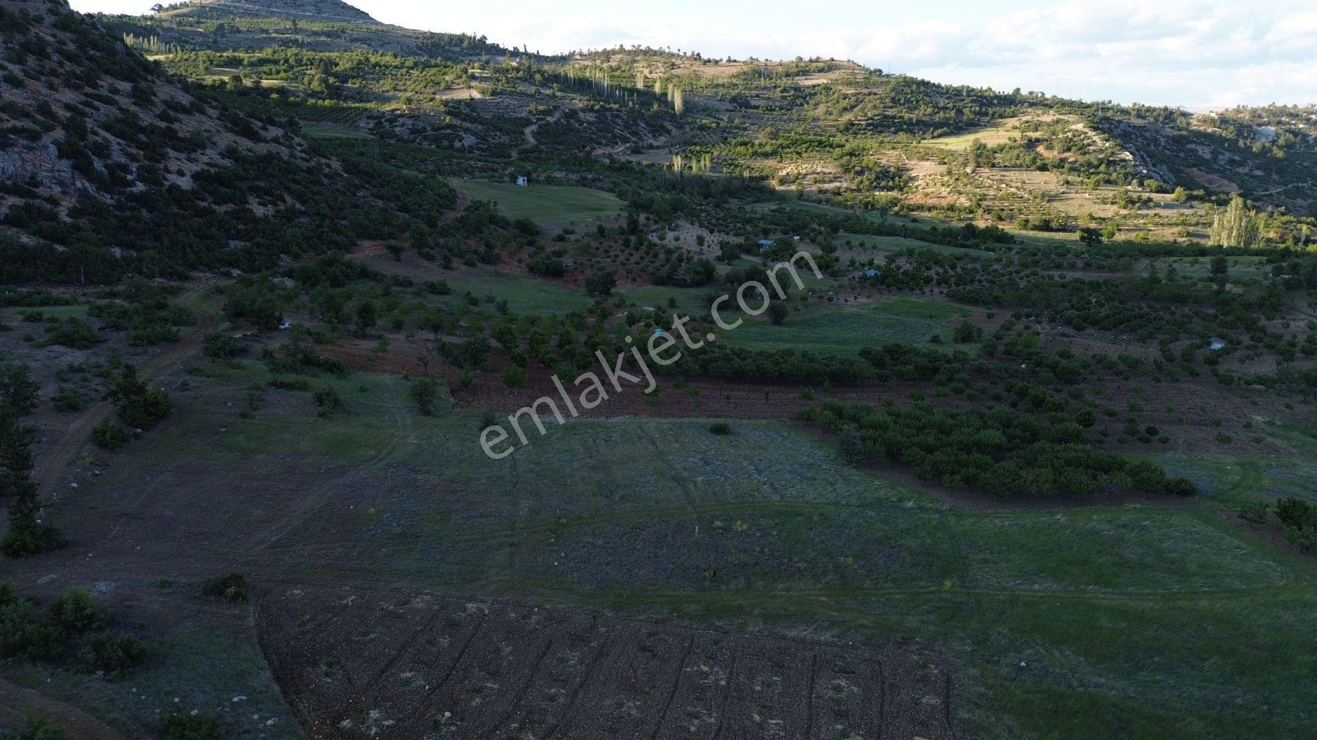 Karaman / Ermenek / Boyalık Mahallesinde 448 M² Müstakil Tapulu Tarla - Görsel 9
