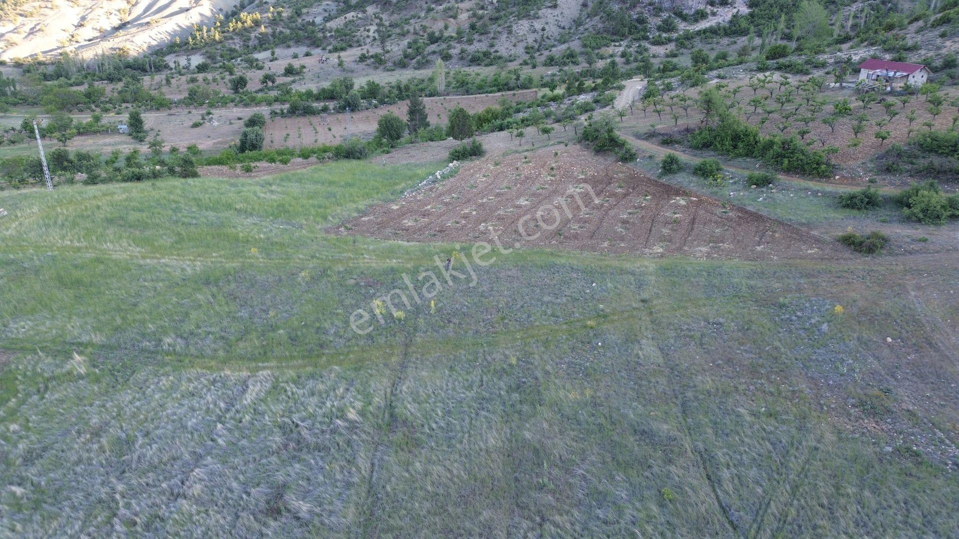 Karaman / Ermenek / Boyalık Mahallesinde 448 M² Müstakil Tapulu Tarla - Görsel 7