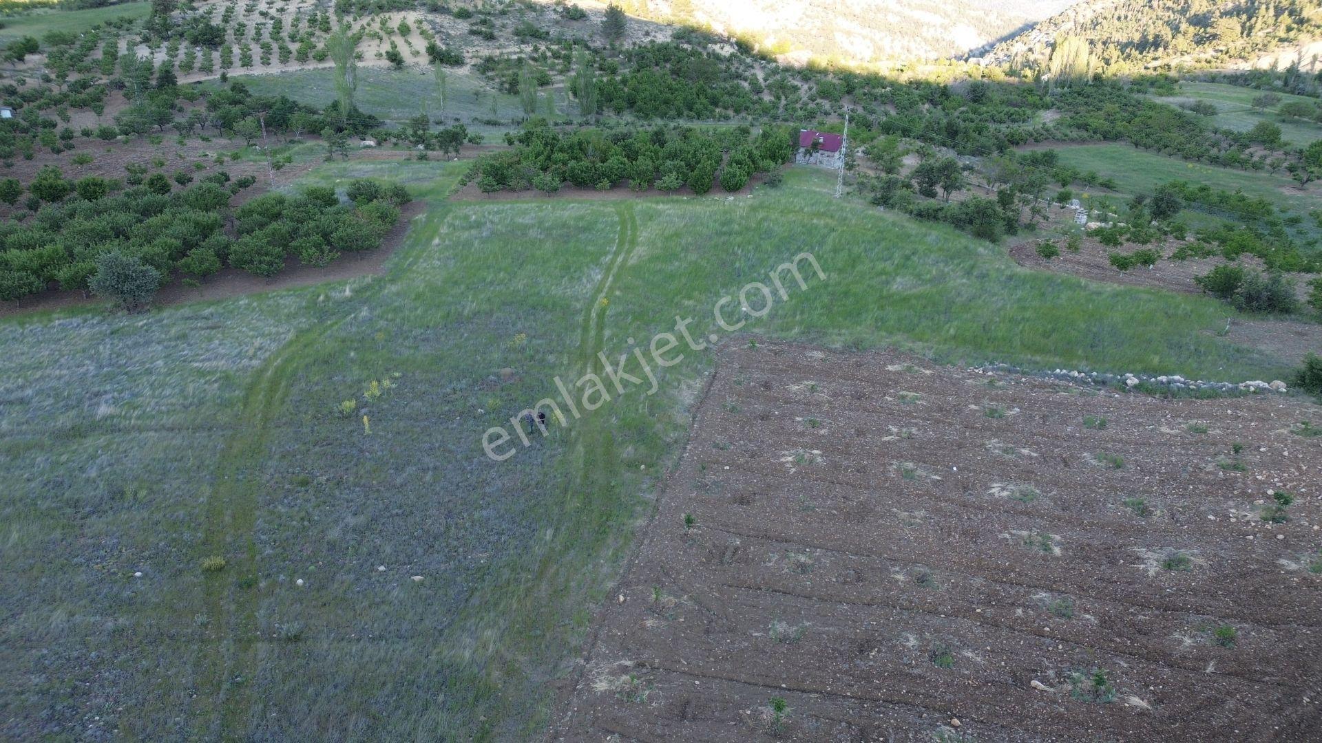 Karaman / Ermenek / Boyalık Mahallesinde 448 M² Müstakil Tapulu Tarla - Görsel 6