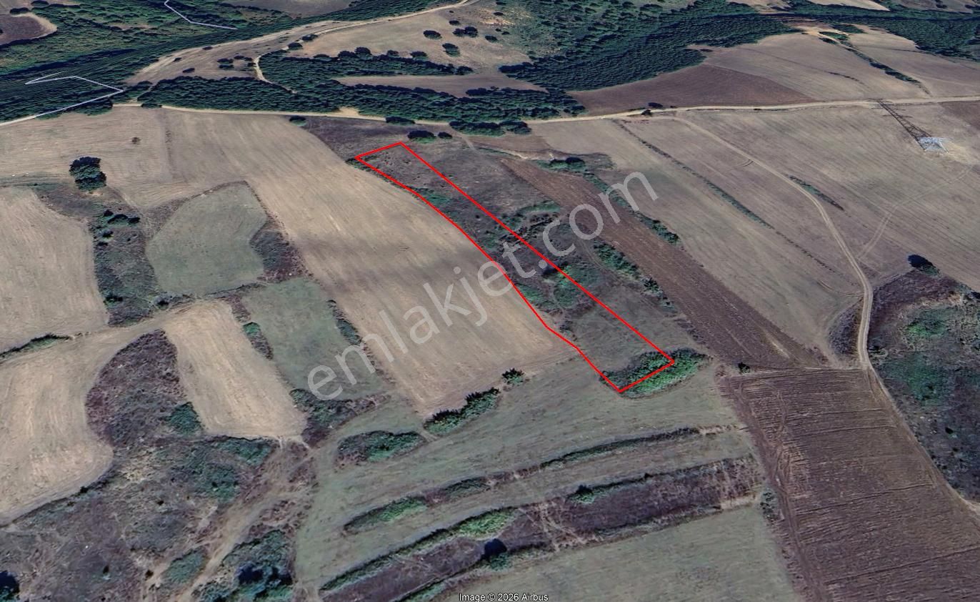 Kocaeli Karamürsel Kızderbent Satılık 5194 M2 Tarla