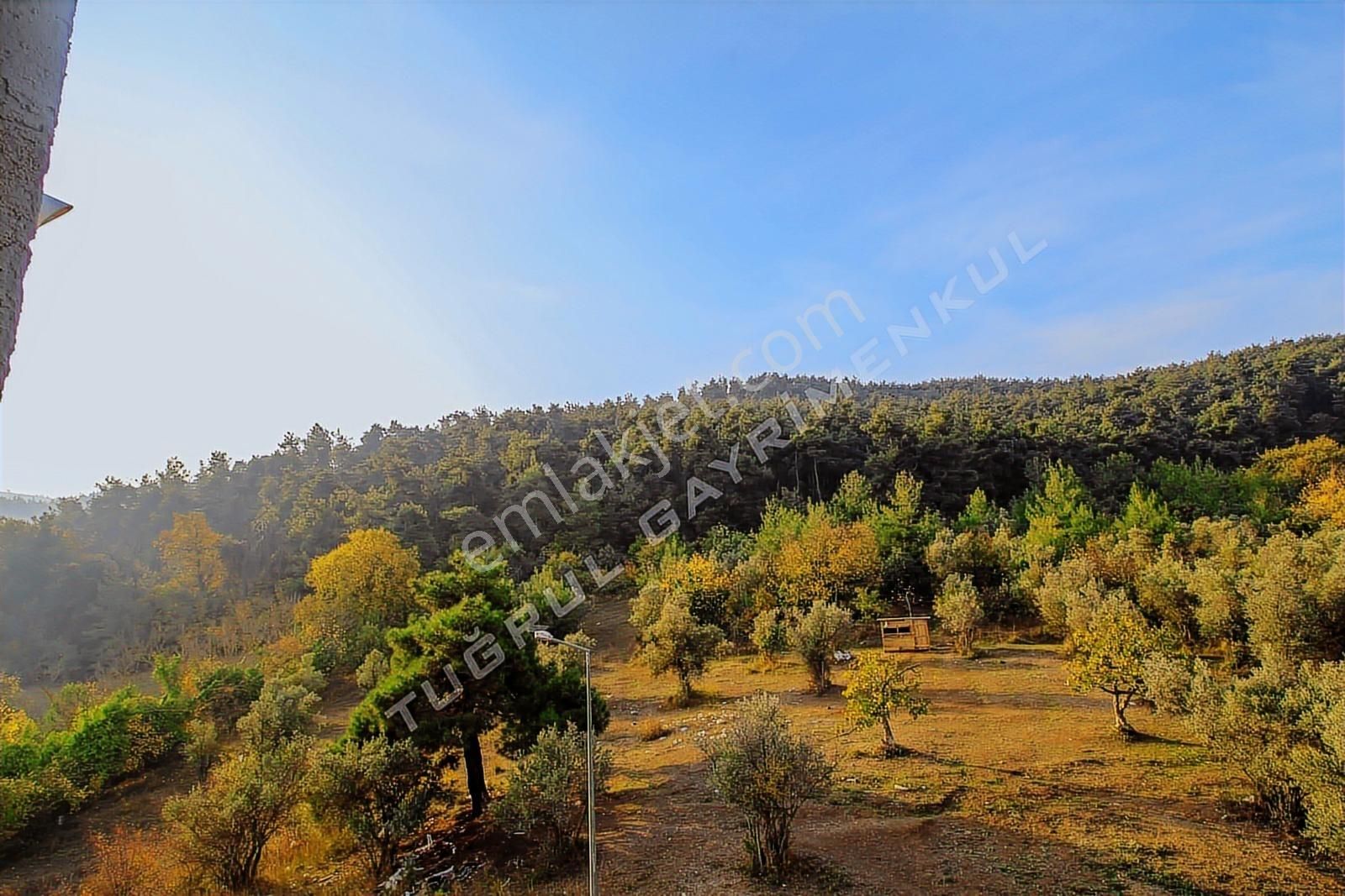 Çalı'da Ormana Cephe 3+1 Satılık Sıfır Dubleks Daire Asansörlü - Görsel 16