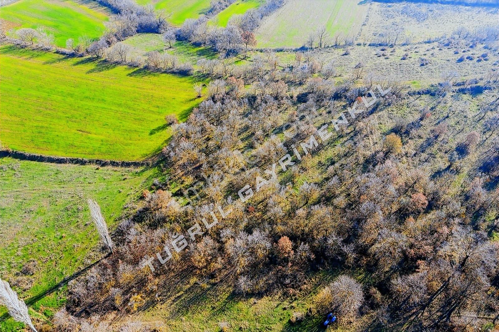 Çalı Karatopraklar Mevkinde Satılık Arazi - Görsel 18