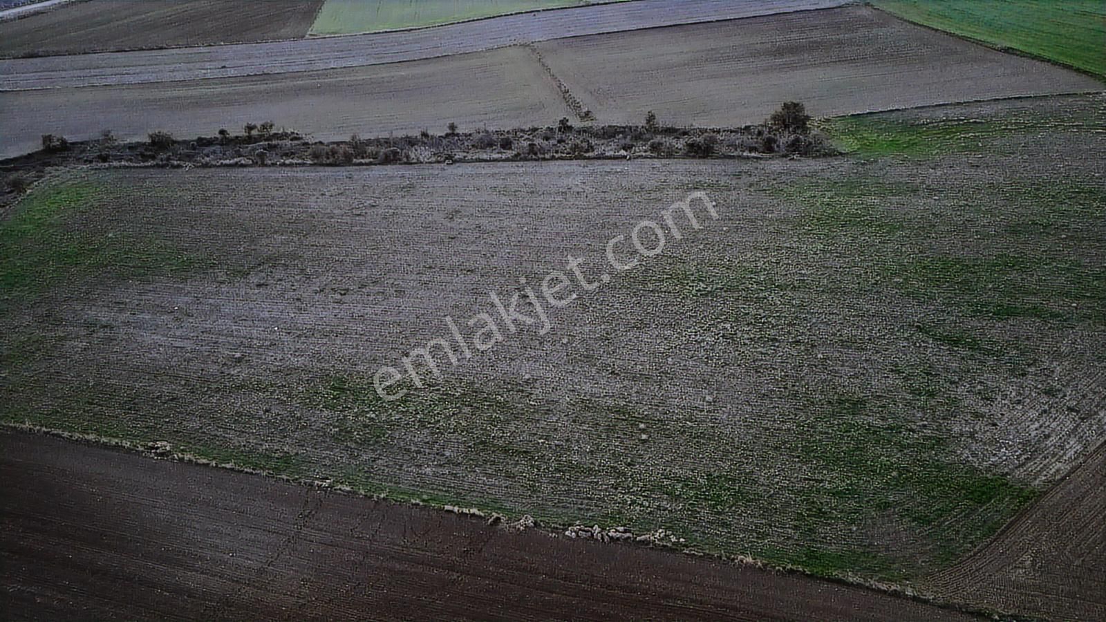 Müstakil Tapulu, 21 Dönüm Tarla, Çanakkale Gelibolu Kavak - Görsel 18