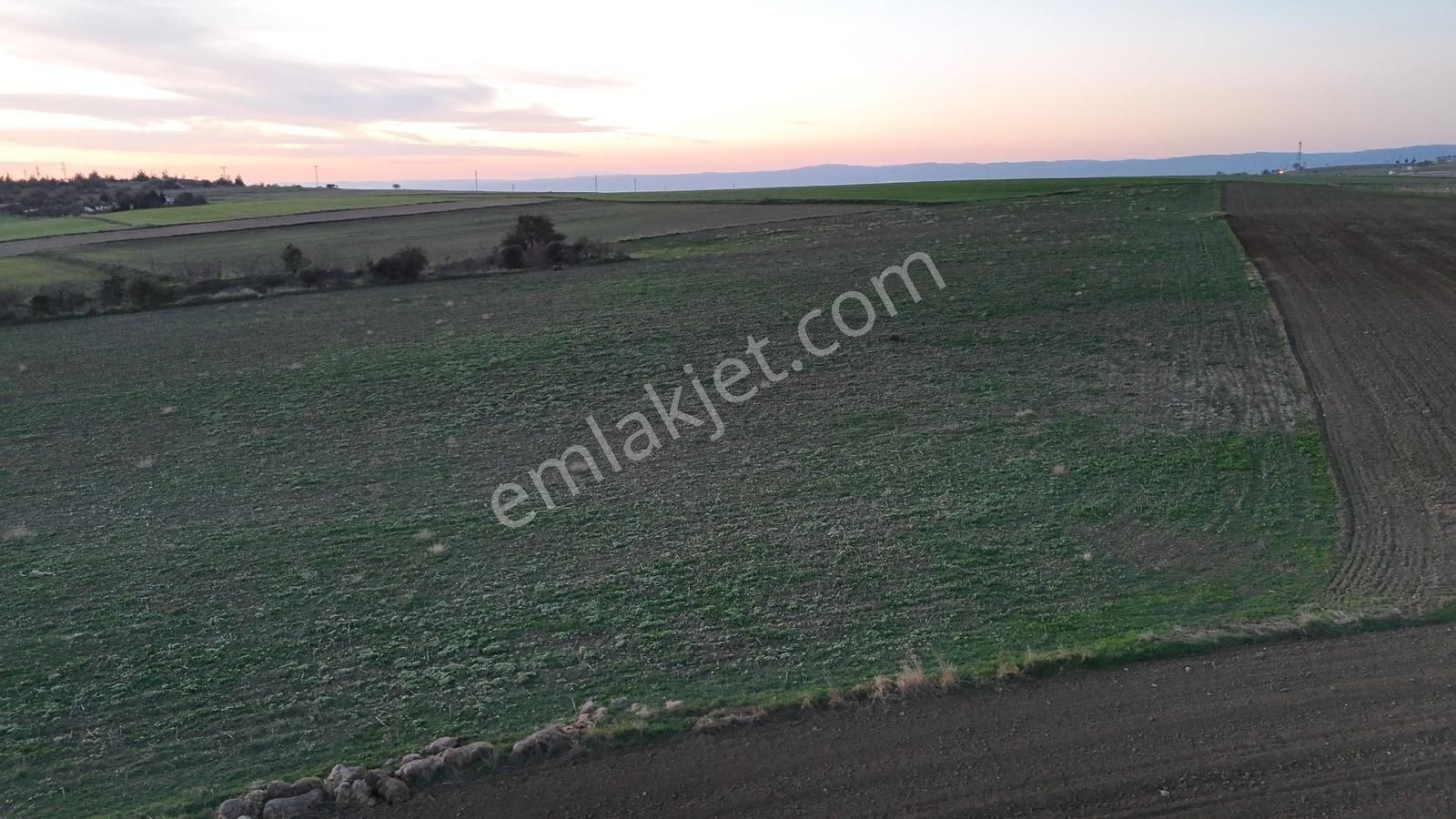 Müstakil Tapulu, 21 Dönüm Tarla, Çanakkale Gelibolu Kavak - Görsel 5