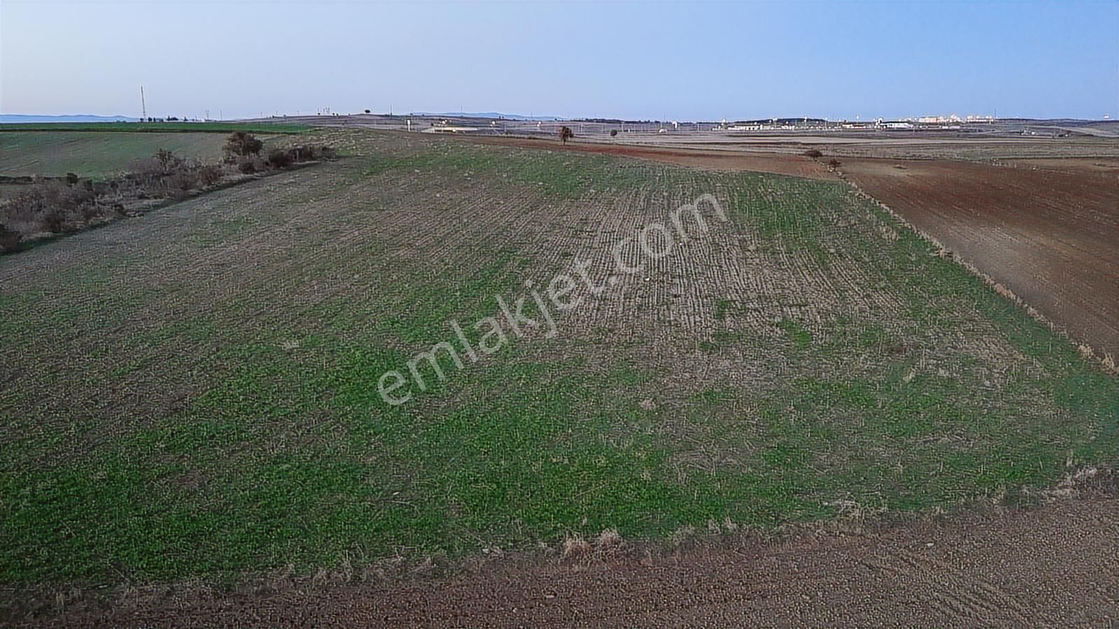 Müstakil Tapulu, 21 Dönüm Tarla, Çanakkale Gelibolu Kavak - Görsel 26