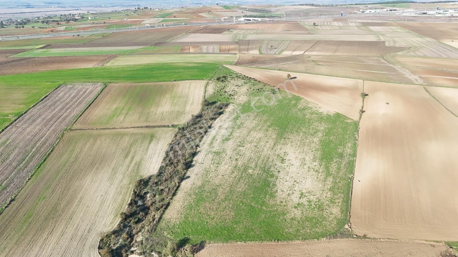 Müstakil Tapulu, 21 Dönüm Tarla, Çanakkale Gelibolu Kavak - Görsel 7