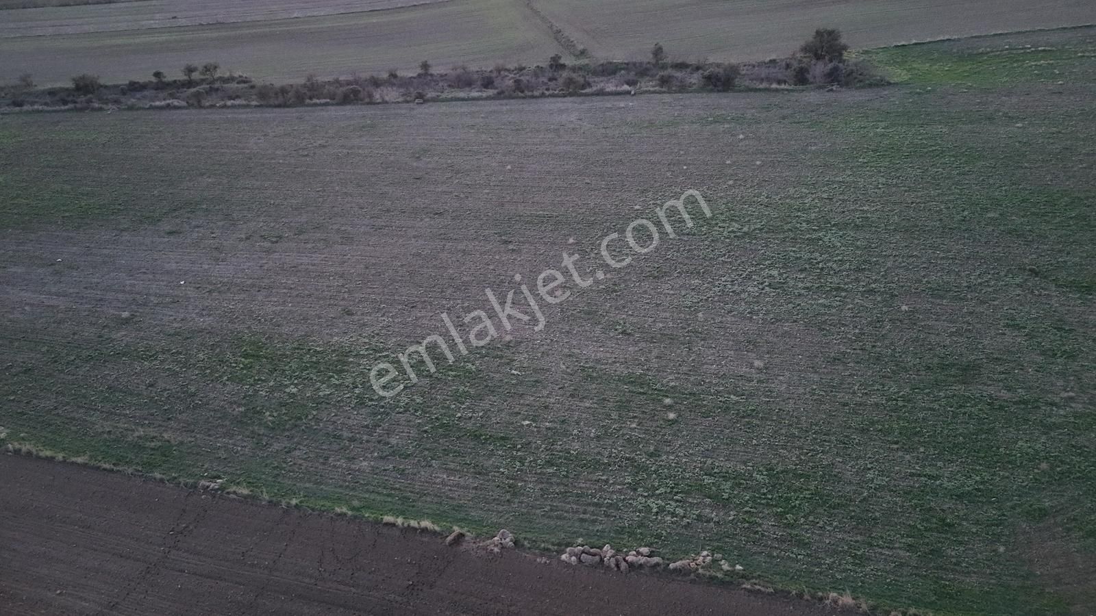 Müstakil Tapulu, 21 Dönüm Tarla, Çanakkale Gelibolu Kavak - Görsel 25