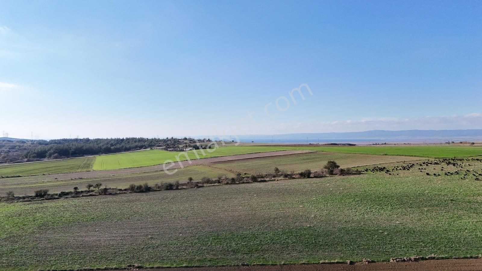 Müstakil Tapulu, 21 Dönüm Tarla, Çanakkale Gelibolu Kavak - Görsel 21