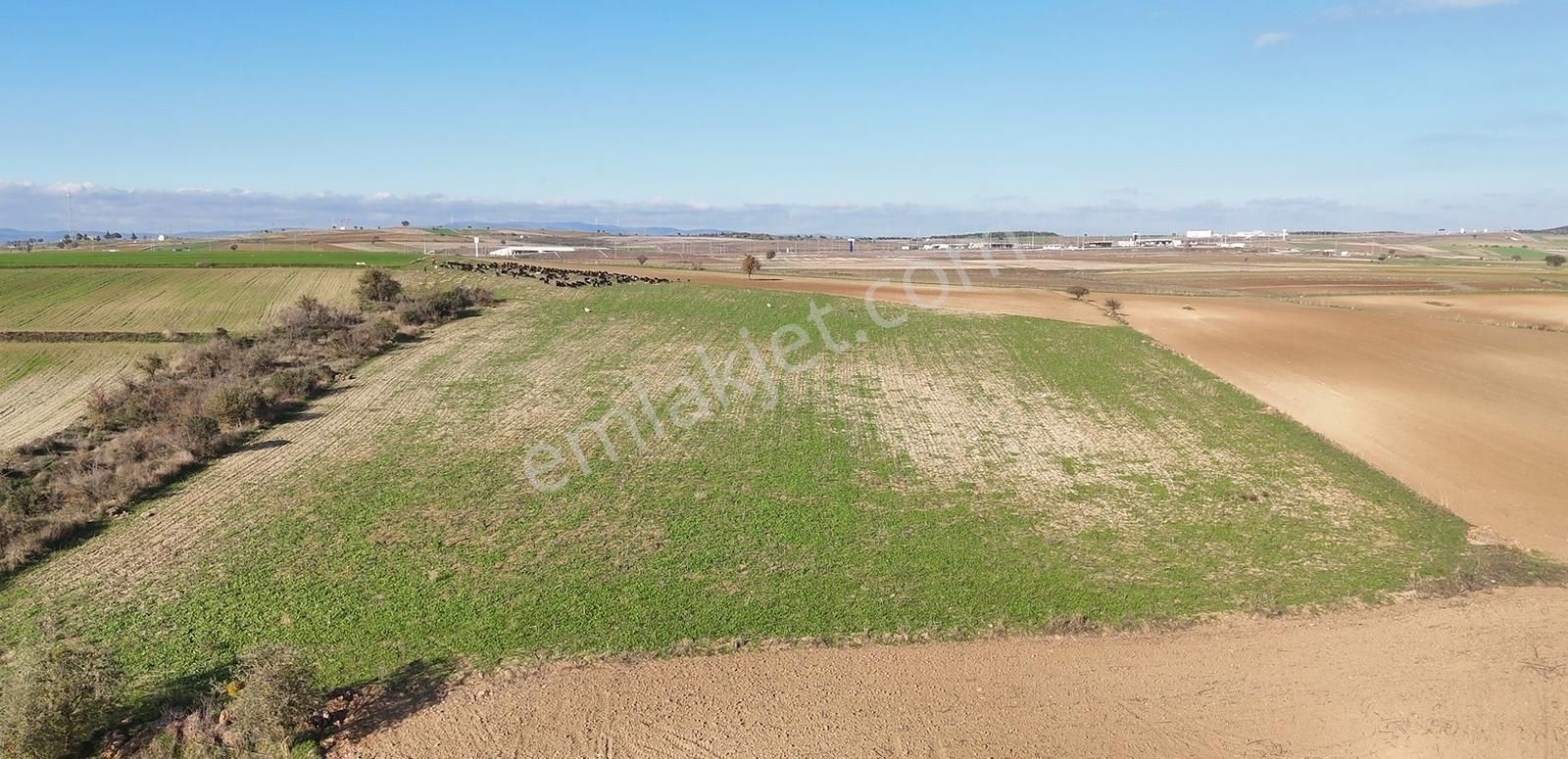 Müstakil Tapulu, 21 Dönüm Tarla, Çanakkale Gelibolu Kavak - Görsel 4