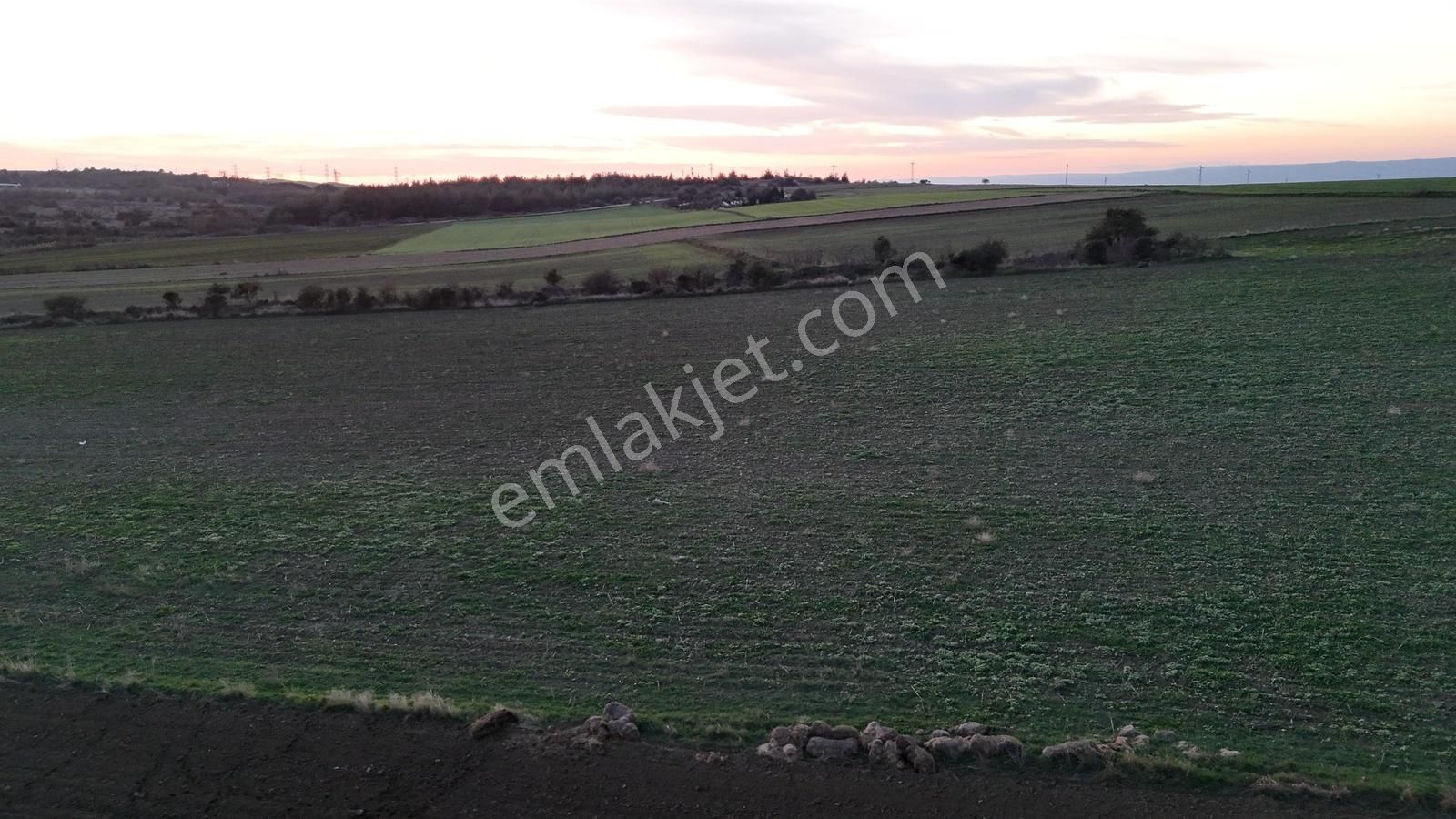 Müstakil Tapulu, 21 Dönüm Tarla, Çanakkale Gelibolu Kavak - Görsel 9