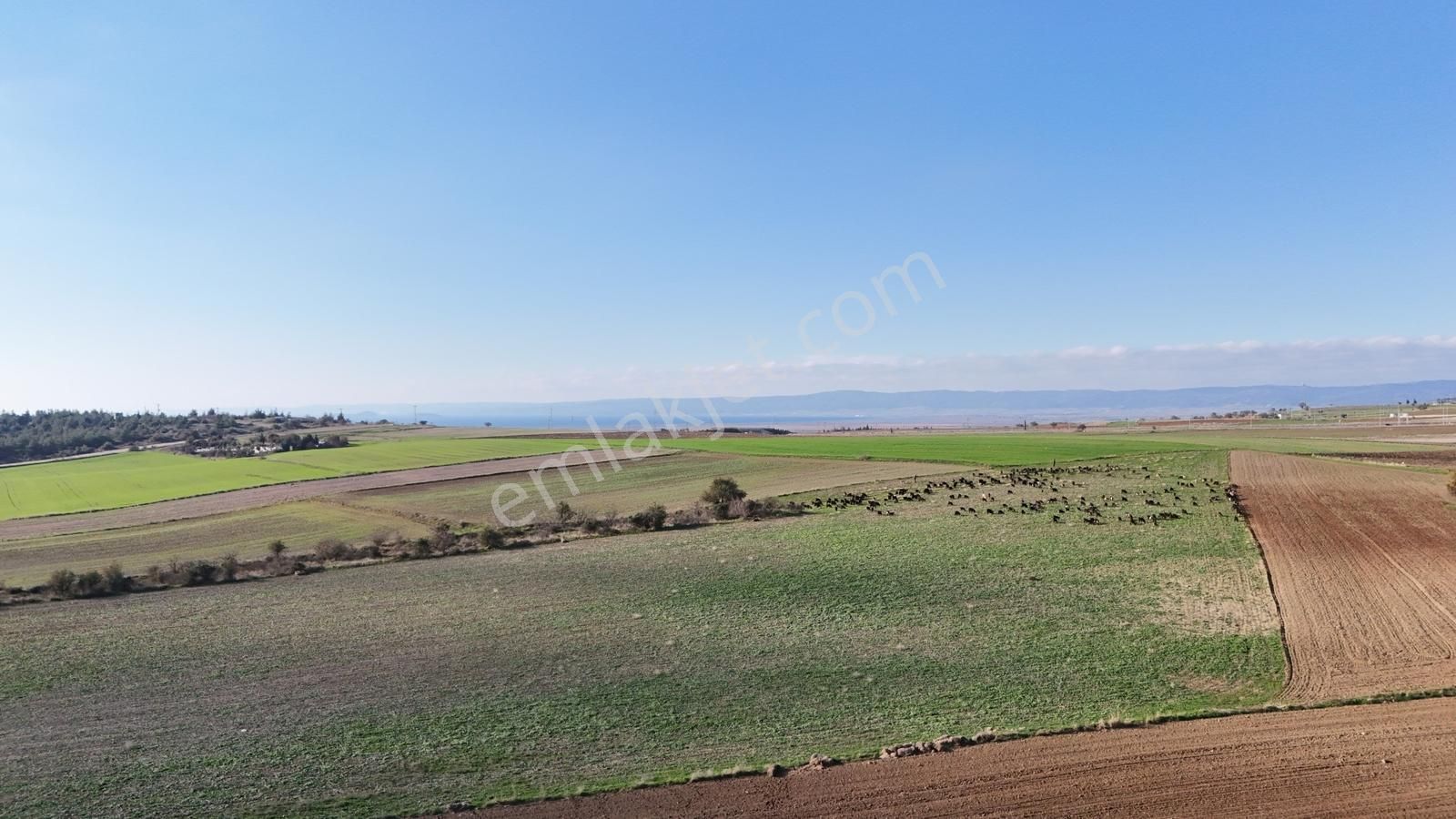 Müstakil Tapulu, 21 Dönüm Tarla, Çanakkale Gelibolu Kavak - Görsel 22