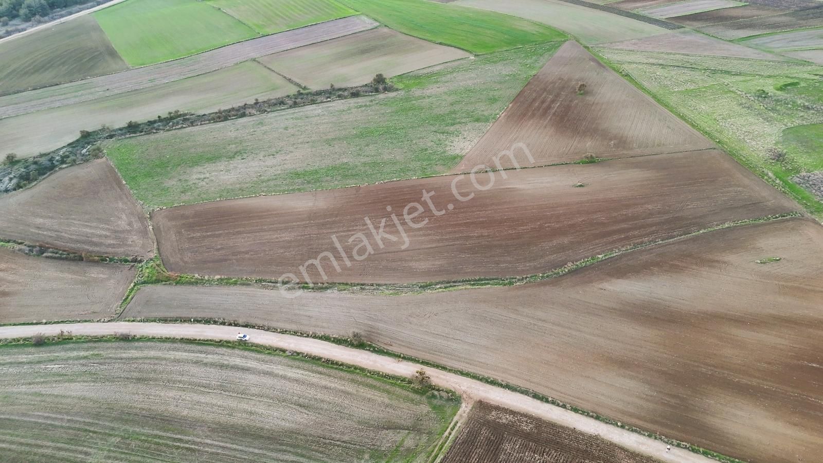 Müstakil Tapulu, 21 Dönüm Tarla, Çanakkale Gelibolu Kavak - Görsel 3