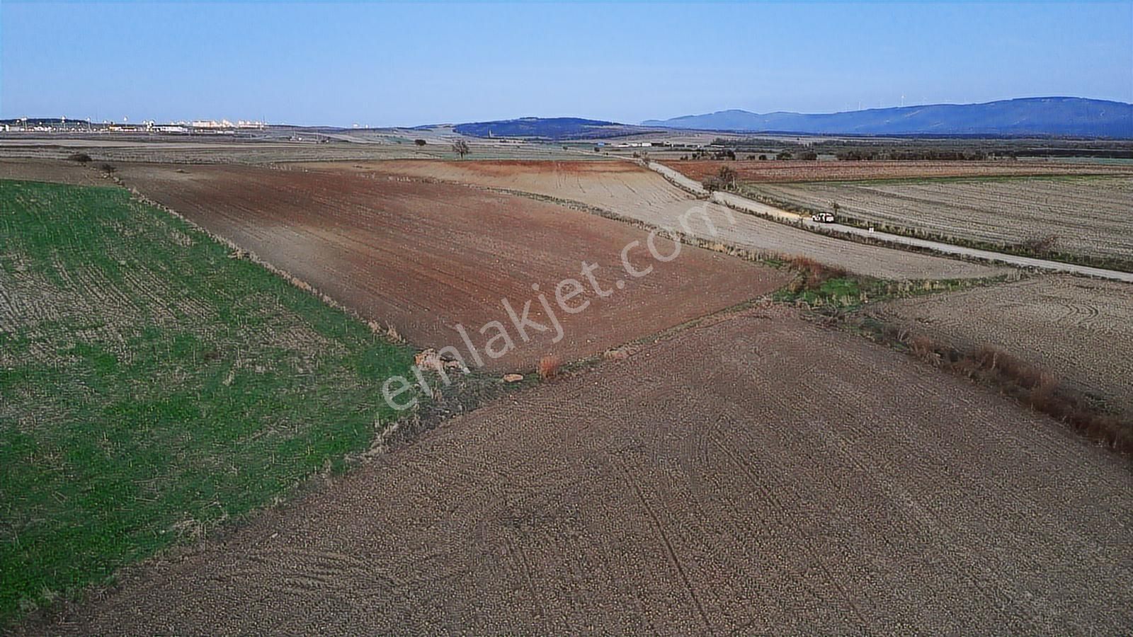 Müstakil Tapulu, 21 Dönüm Tarla, Çanakkale Gelibolu Kavak - Görsel 6