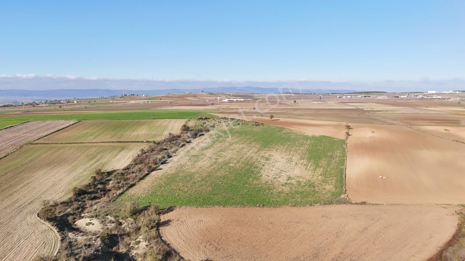 Müstakil Tapulu, 21 Dönüm Tarla, Çanakkale Gelibolu Kavak - Görsel 28