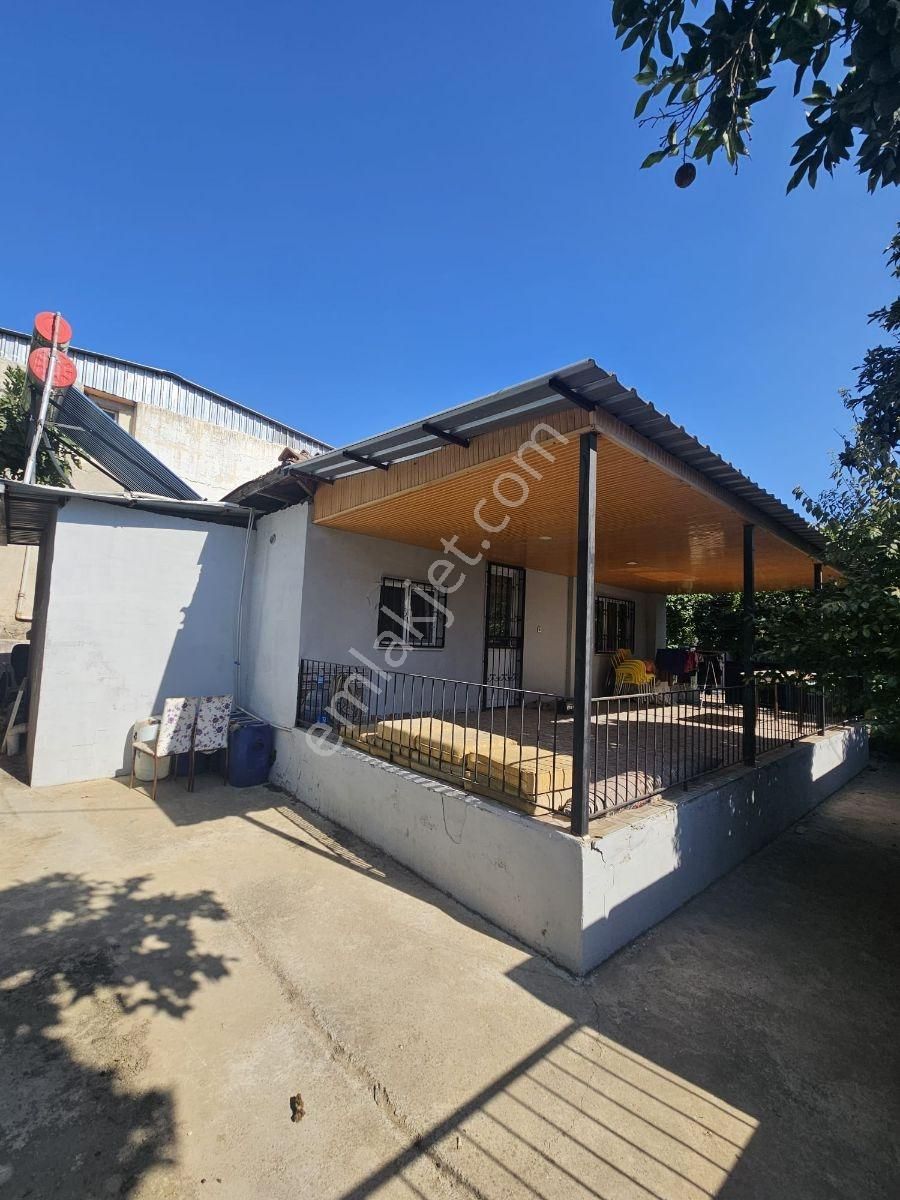 Aydın Umurluda Kaçırlmayacak Müstakil Satılık Bahçeli 3+1 Ev.