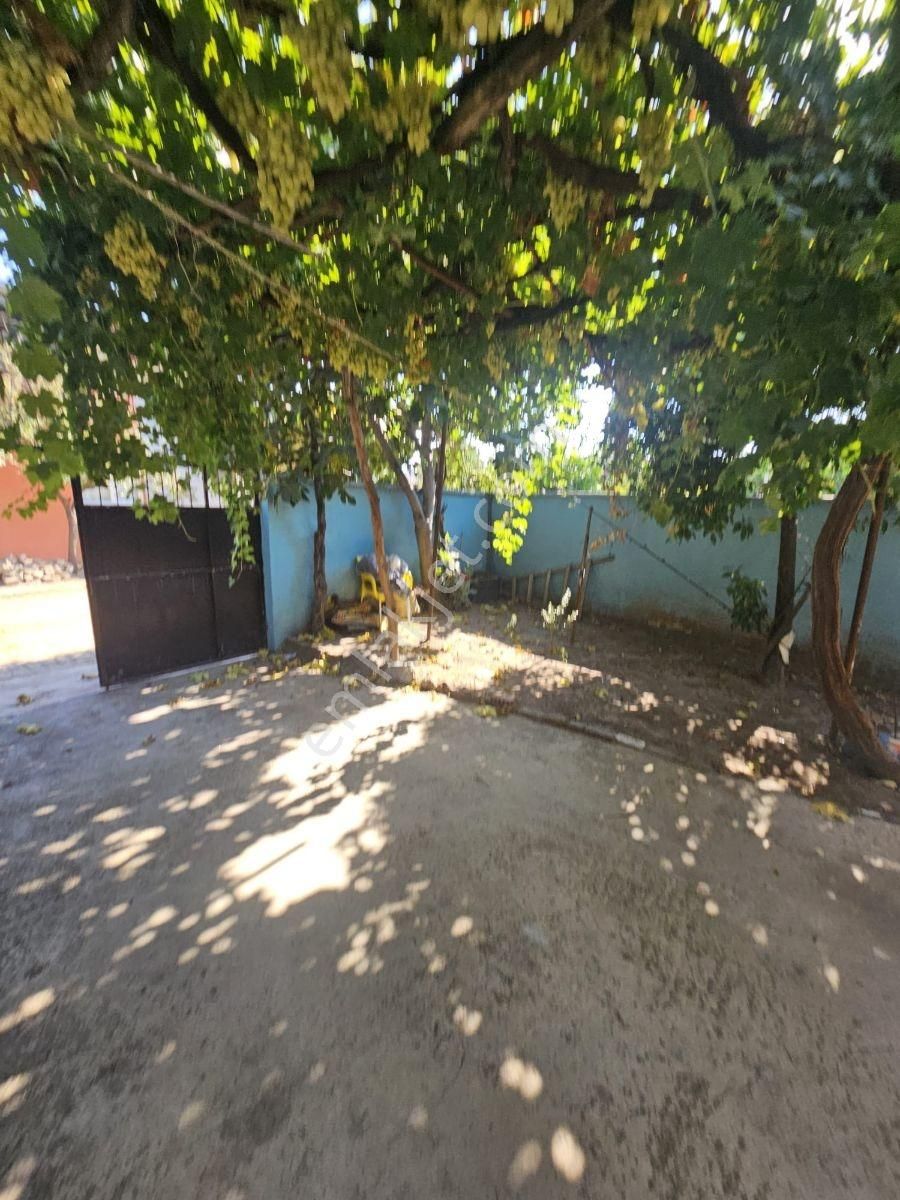 Aydın Umurluda Kaçırlmayacak Müstakil Satılık Bahçeli 3+1 Ev. - Görsel 13