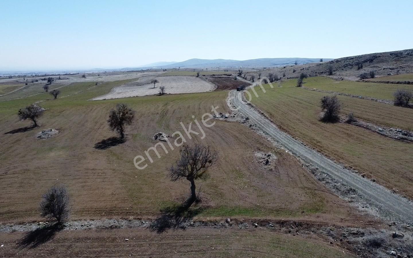 Satılık Sulu Tarla Konya Meram Karadiğin Deresi Pınarın Yakını - Görsel 7