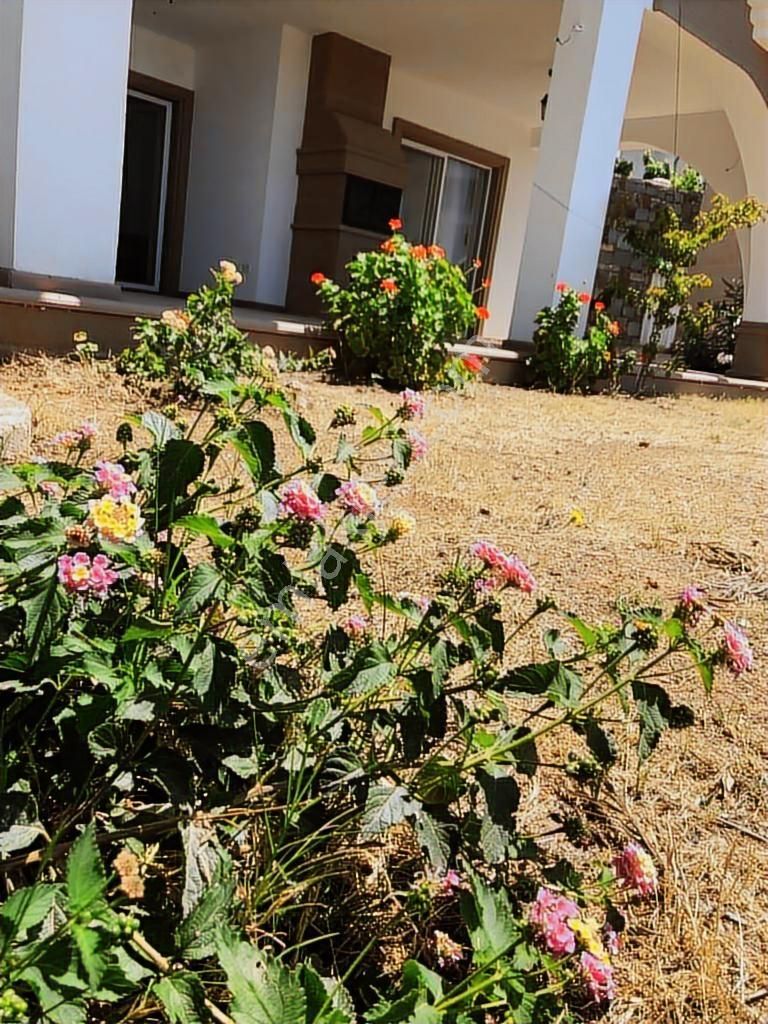 Bodrum Gümüşlük Satılık Deniz Manzaralı Mustakil Dubleks - Görsel 26