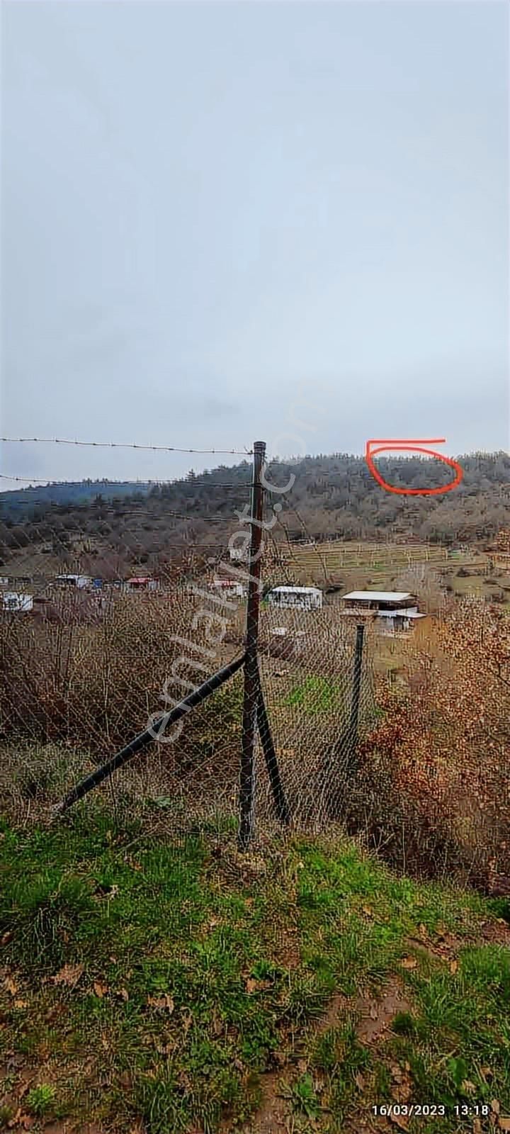 Bursa Yenişehir Marmaraçıkta Satılık Tarla