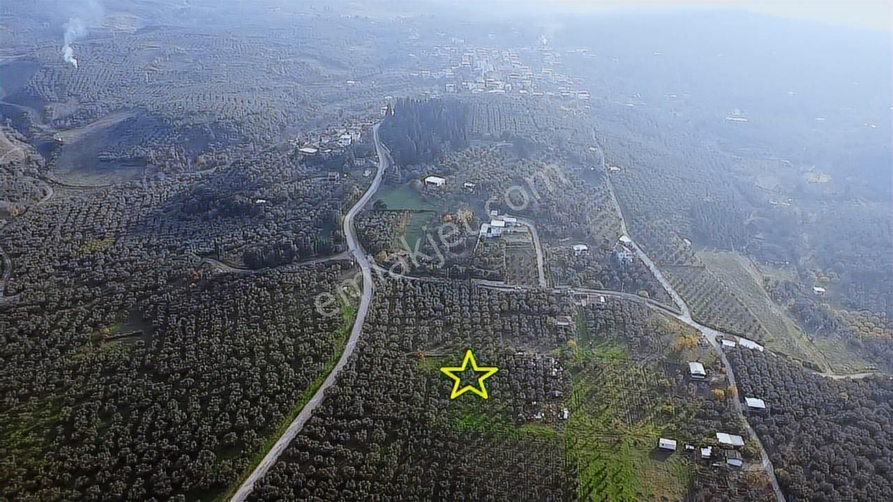 Tırpan'dan Yalıçiftlikte 6.912m2 Asfalta Cephe Harika Lokasyon - Görsel 16
