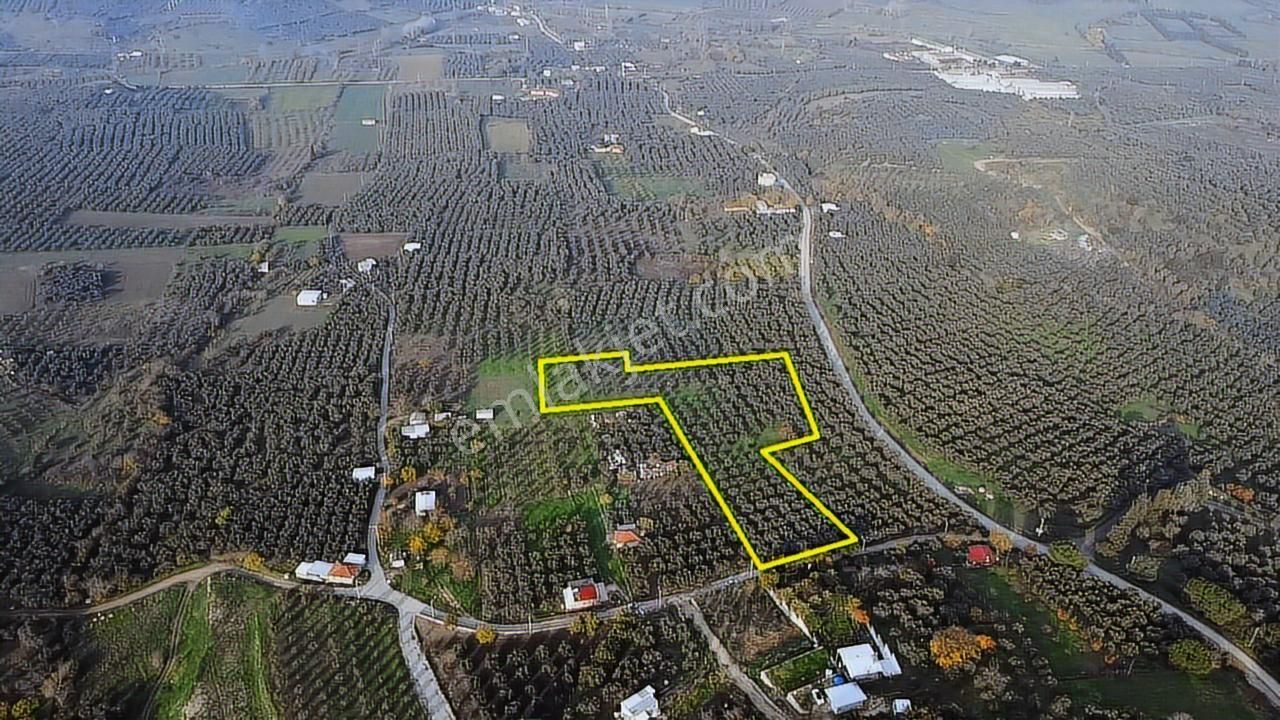 Tırpan'dan Yalıçiftlikte 6.912m2 Asfalta Cephe Harika Lokasyon - Görsel 9