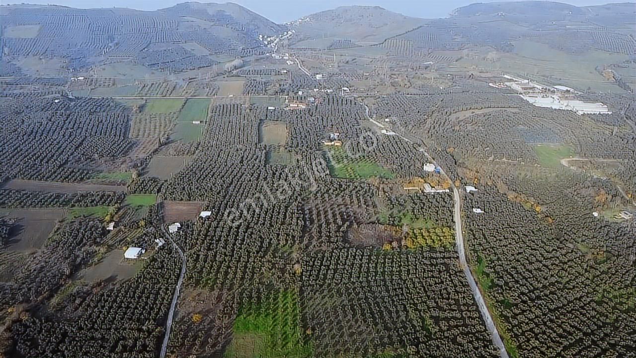Tırpan'dan Yalıçiftlikte 6.912m2 Asfalta Cephe Harika Lokasyon - Görsel 27