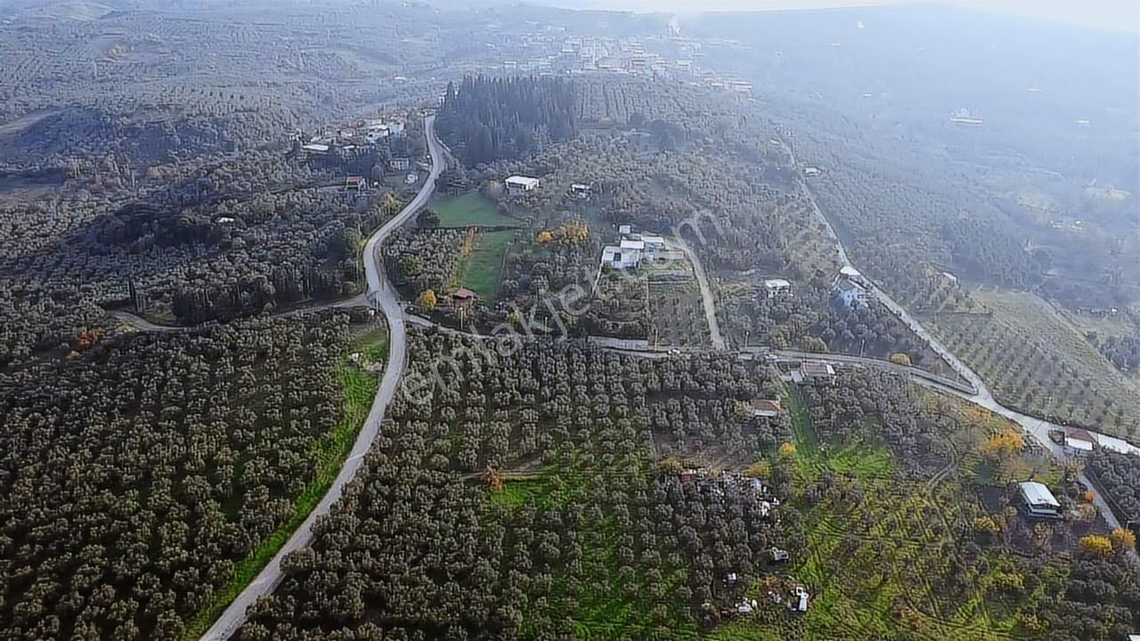 Tırpan'dan Yalıçiftlikte 6.912m2 Asfalta Cephe Harika Lokasyon - Görsel 4