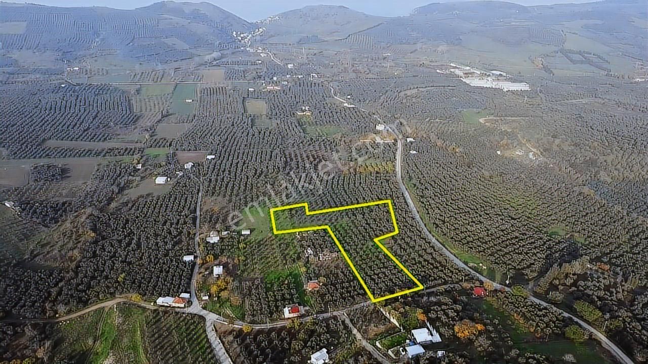 Tırpan'dan Yalıçiftlikte 6.912m2 Asfalta Cephe Harika Lokasyon - Görsel 18