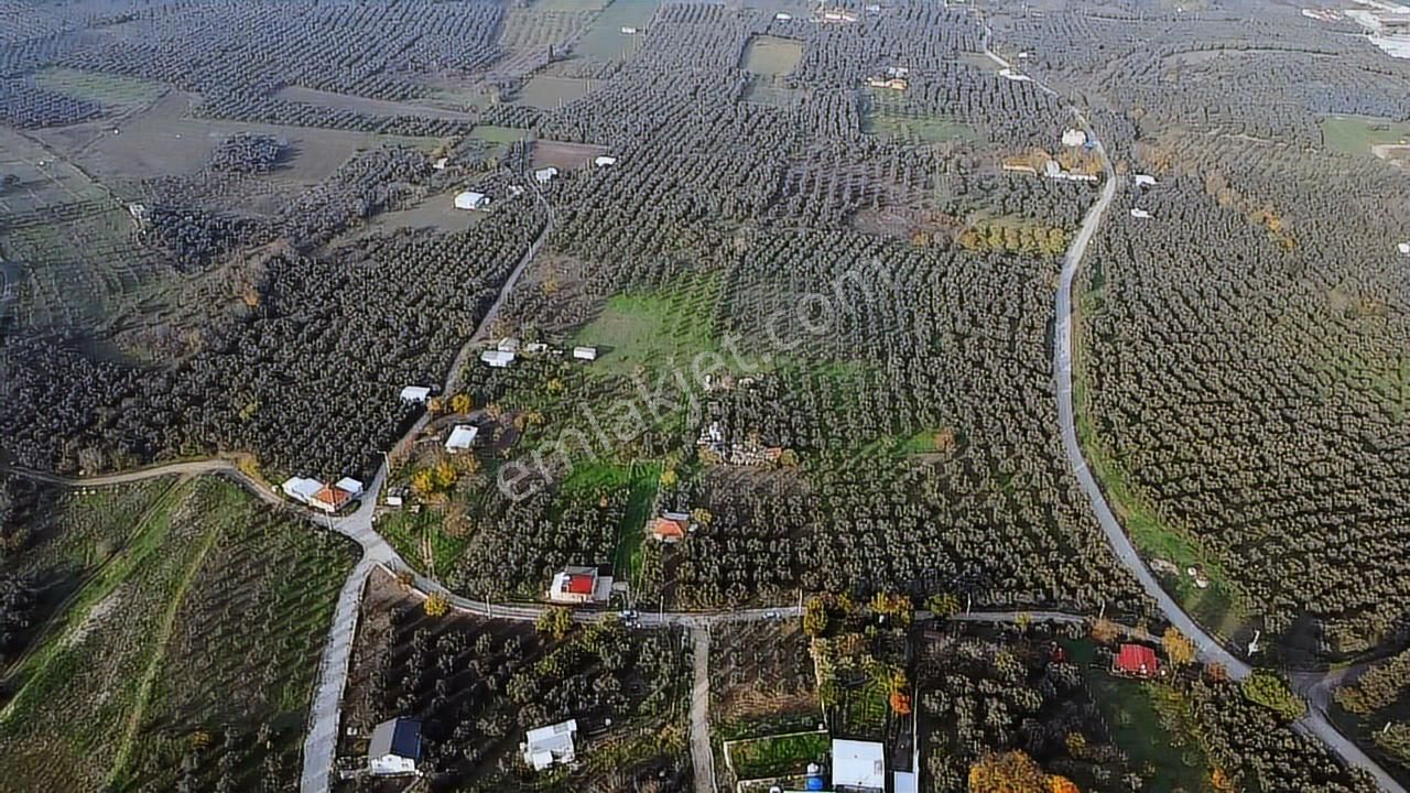 Tırpan'dan Yalıçiftlikte 6.912m2 Asfalta Cephe Harika Lokasyon - Görsel 3