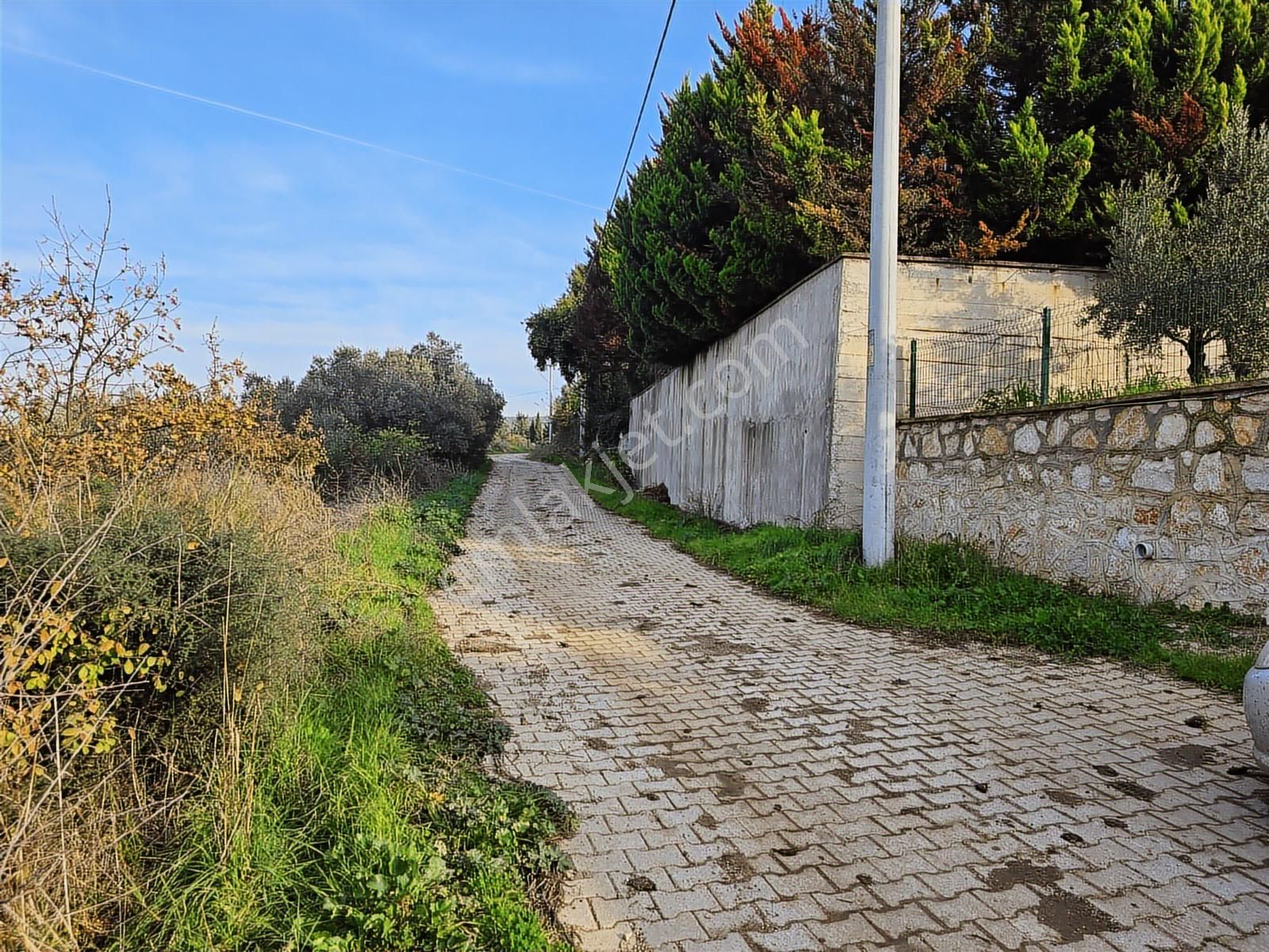 Tırpan'dan Yalıçiftlikte 6.912m2 Asfalta Cephe Harika Lokasyon - Görsel 7