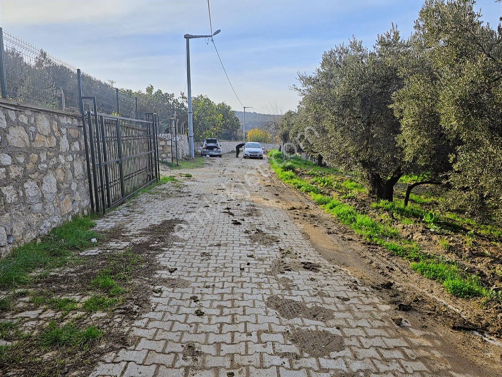 Tırpan'dan Yalıçiftlikte 6.912m2 Asfalta Cephe Harika Lokasyon - Görsel 13