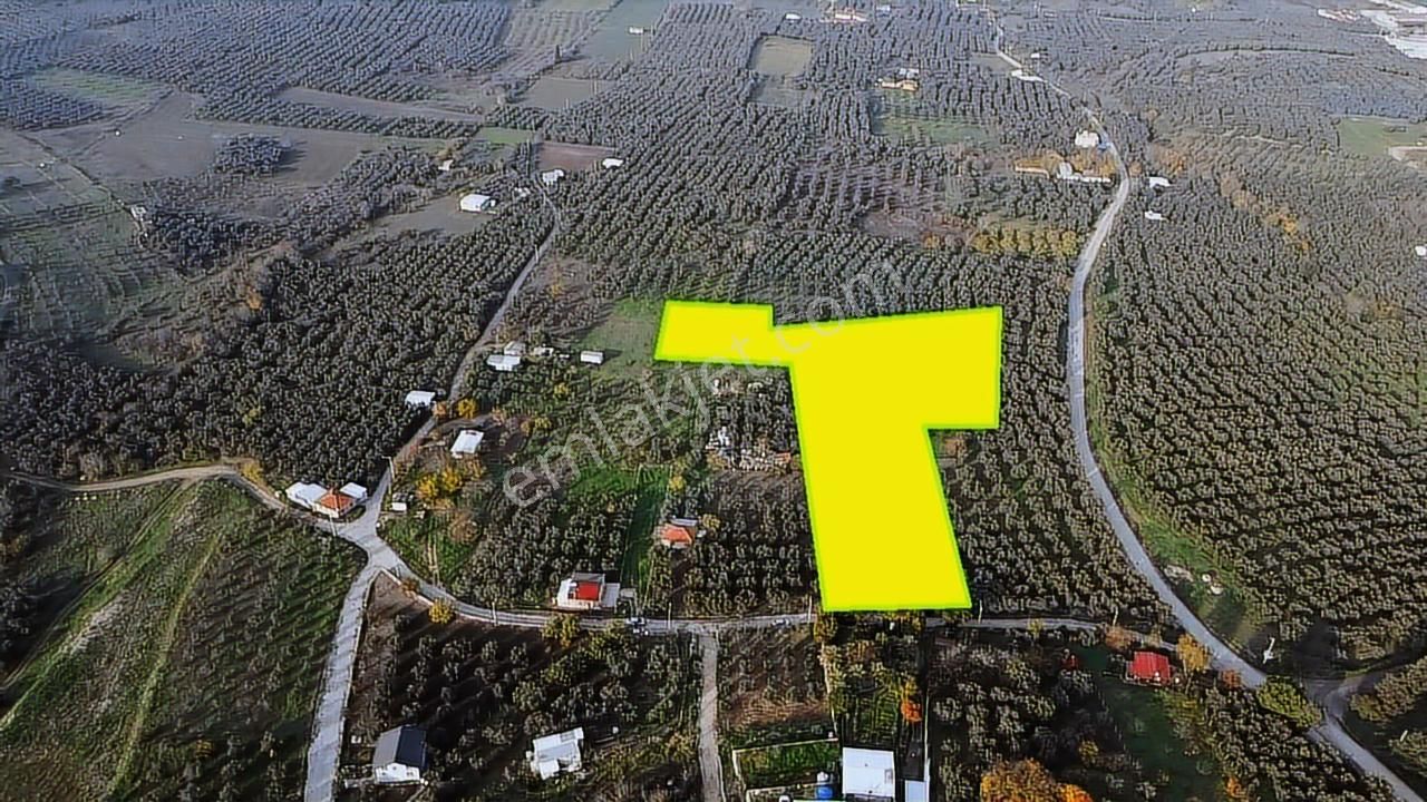 Tırpan'dan Yalıçiftlikte 6.912m2 Asfalta Cephe Harika Lokasyon