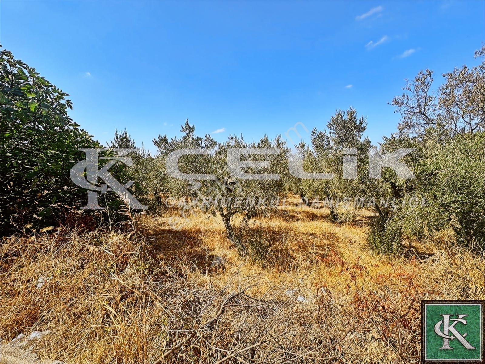 Çelik Emlaktan Yeni Yenice Mah Köy İçi 1200 M2 Satılık Arsa!!!!! - Görsel 17