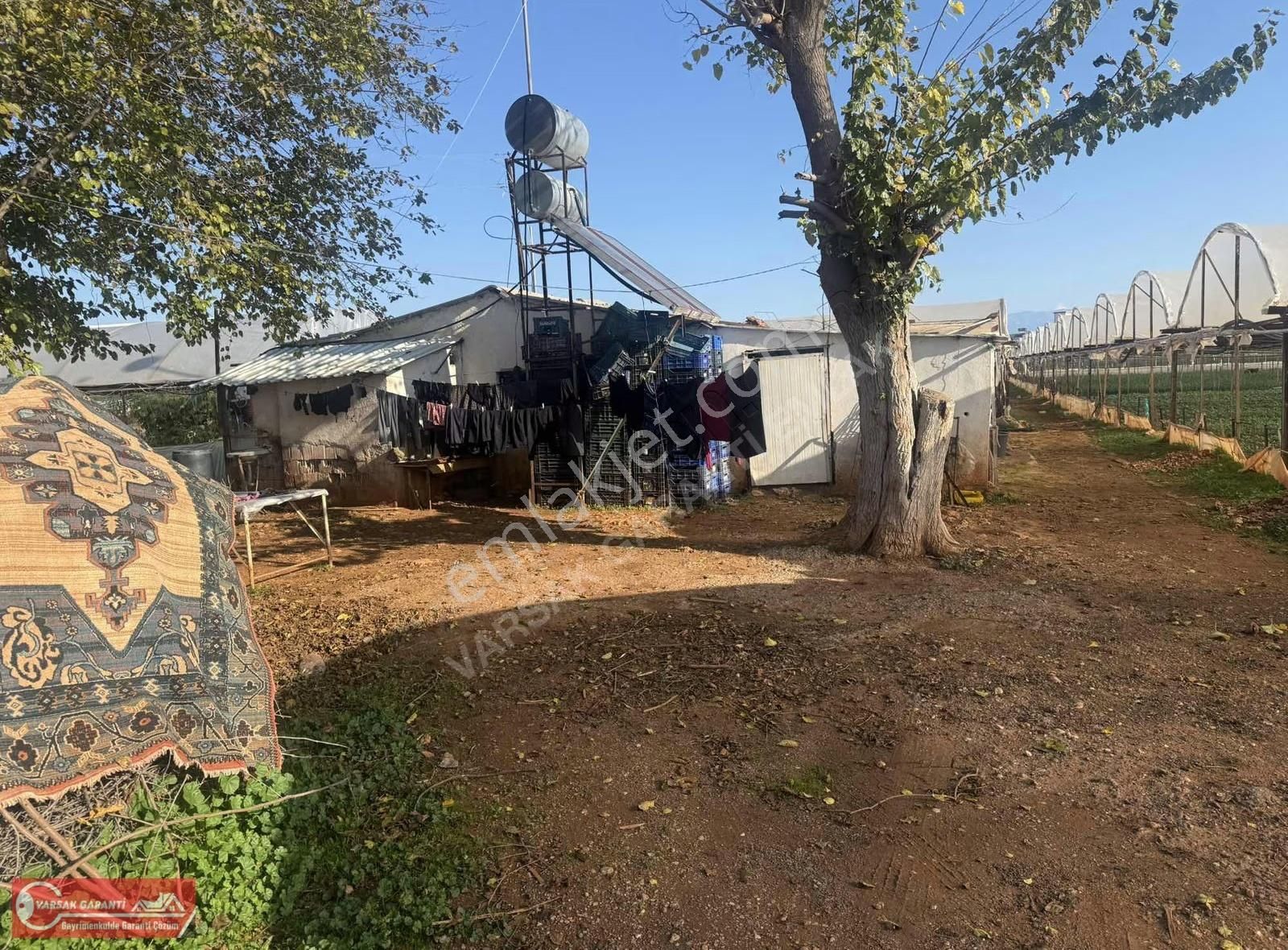 Satılık Zeytinlik Mh 5826 Mt İçi Evli Tarla - Görsel 2
