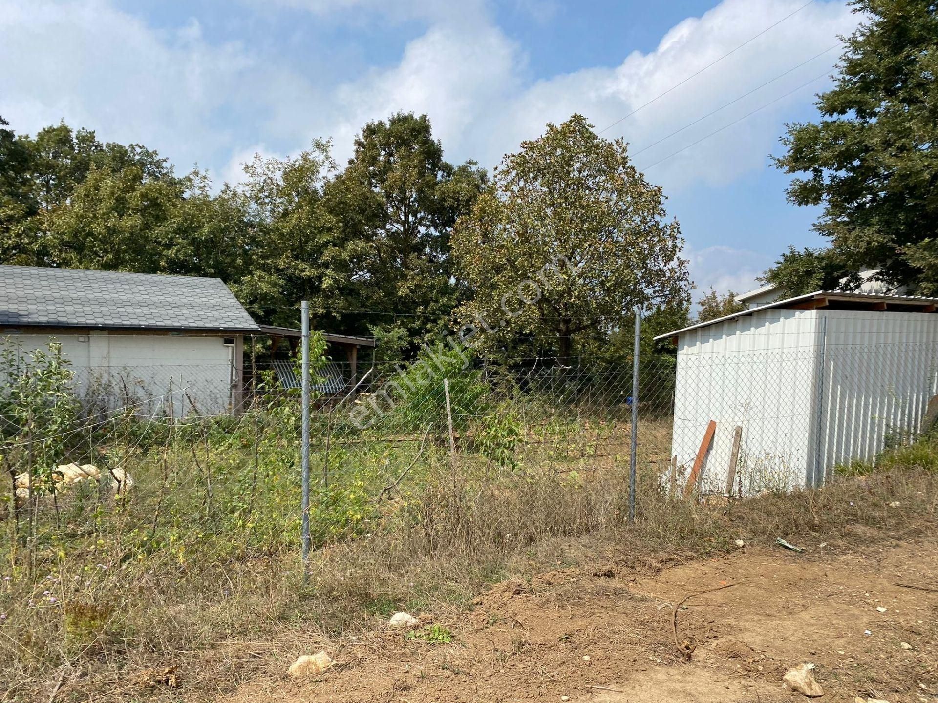 Güngören Mahalle İçinde Asfalta Cephe Süper Konumda - Görsel 7