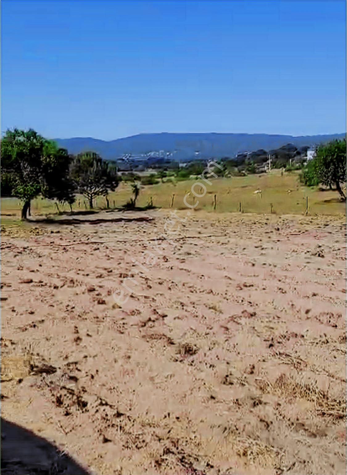 Deniz'den Muğla Milas'ta Satılık Arazi - Görsel 9